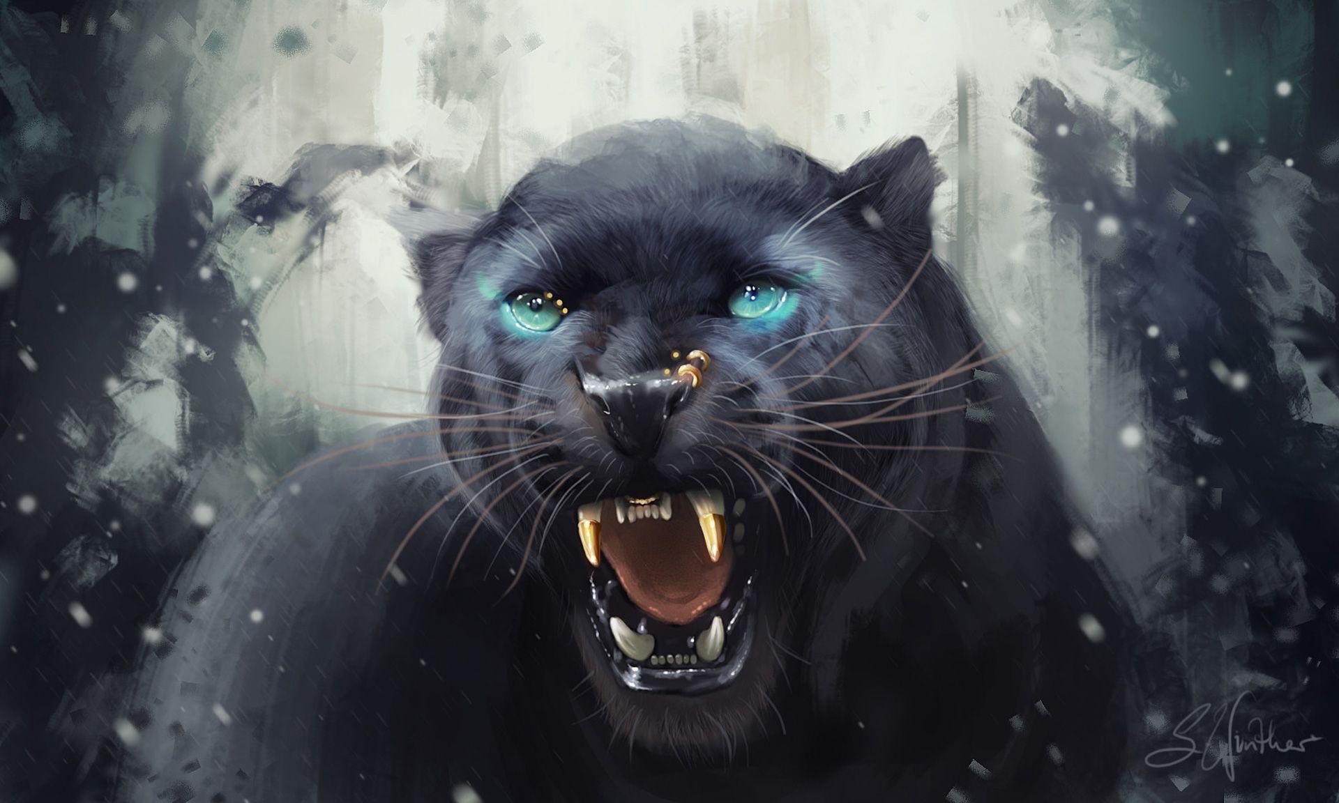 Cool Black Panther Animal Wallpapers Top Free Cool Black Panther