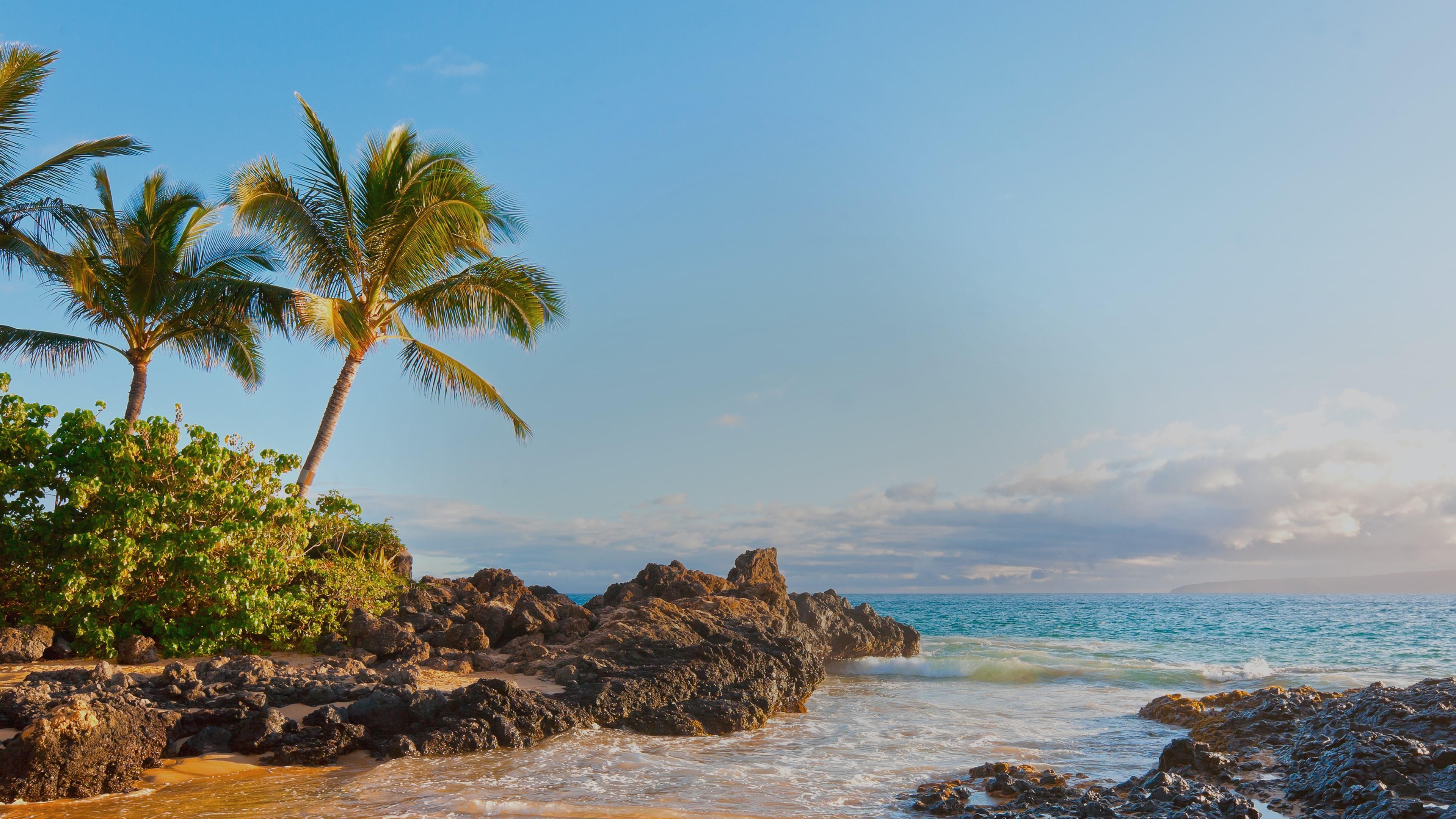 Hawaii Wallpapers Top Free Hawaii Backgrounds WallpaperAccess