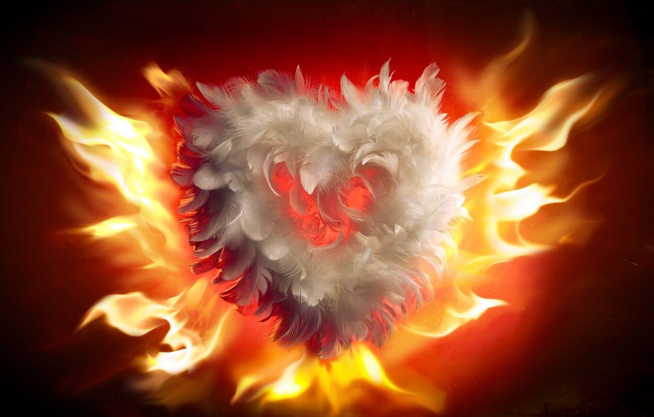 Love Fire Wallpapers Top Free Love Fire Backgrounds WallpaperAccess