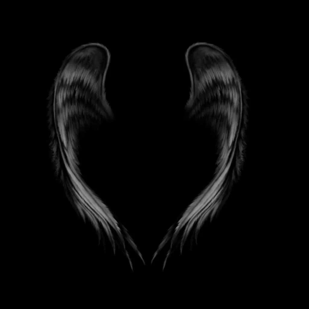 Dark Angel Wings Wallpapers Top Free Dark Angel Wings Backgrounds