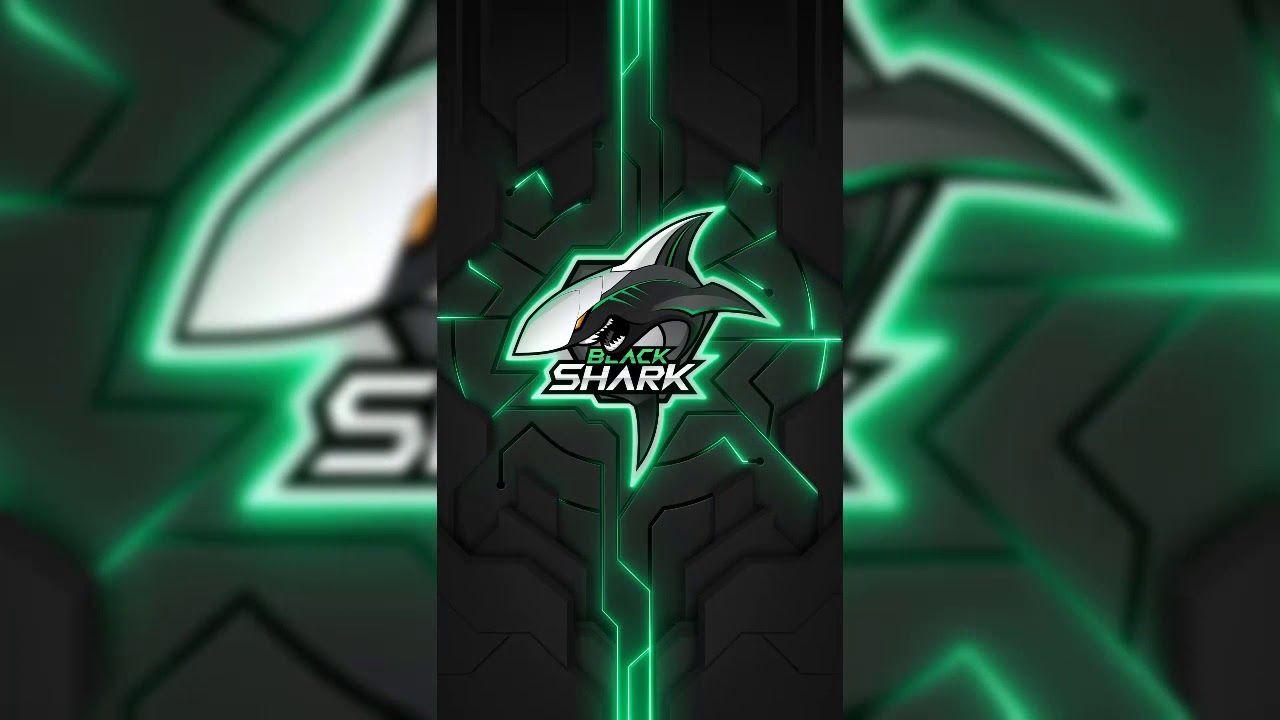 Black Shark Desktop Wallpapers Top Free Black Shark Desktop