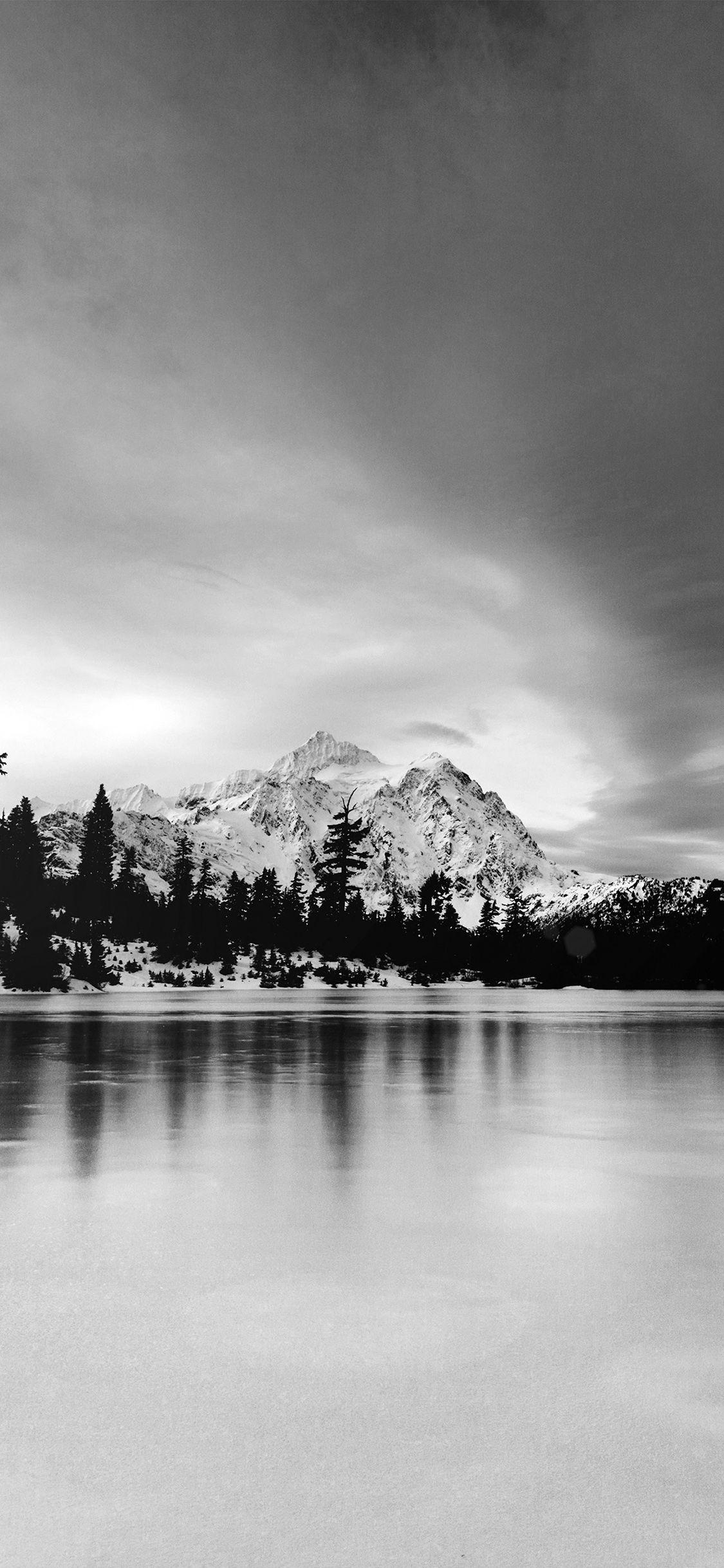 Black Forest iPhone Wallpapers Top Free Black Forest iPhone