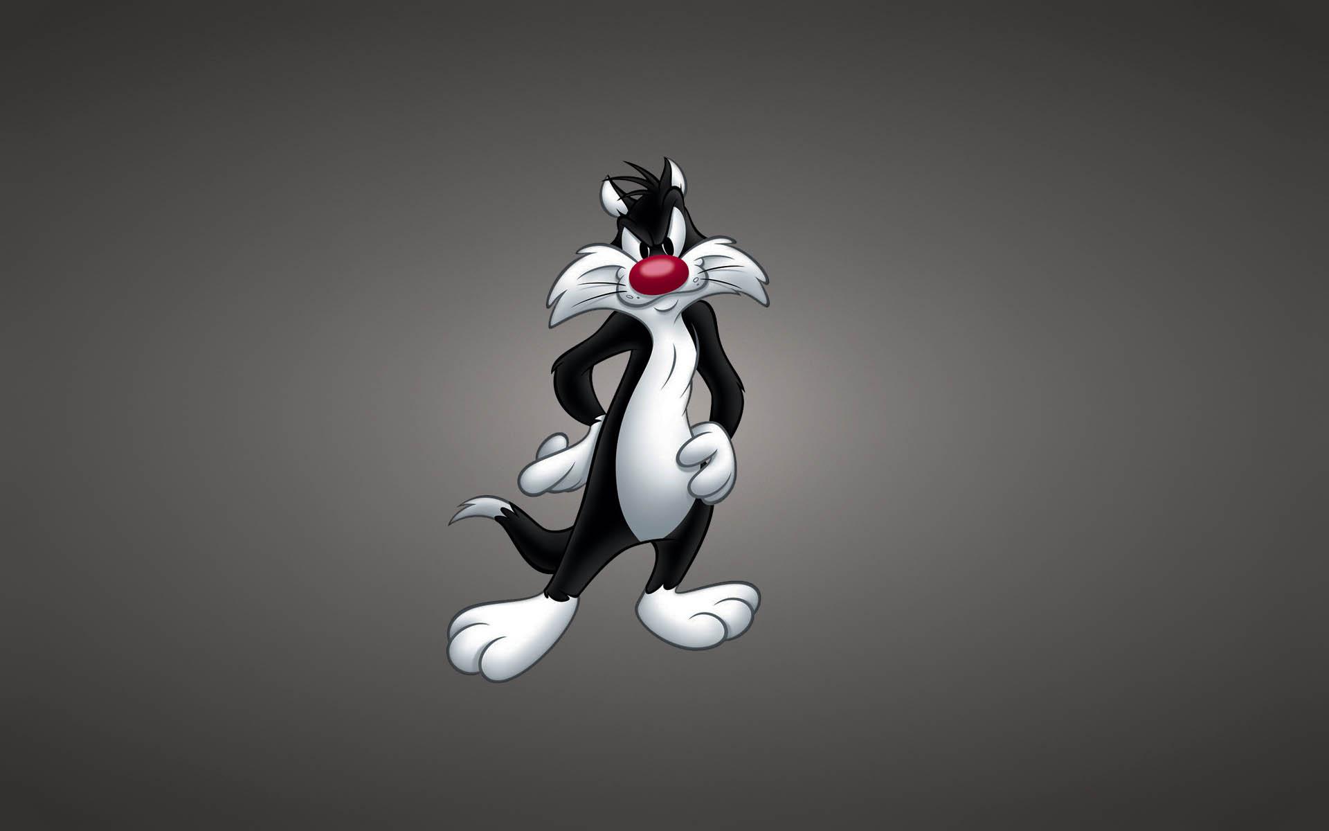 Looney Tunes Basketball Wallpapers Top Free Looney Tunes Basketball