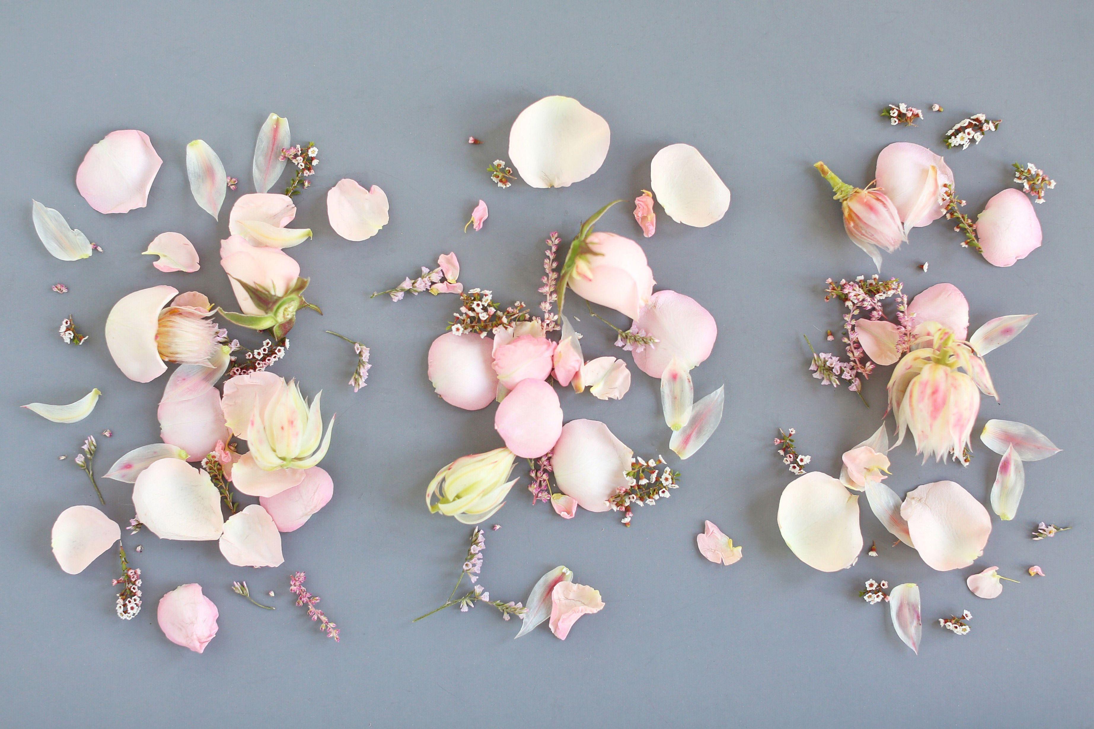 Blush Desktop Wallpapers Top Free Blush Desktop Backgrounds