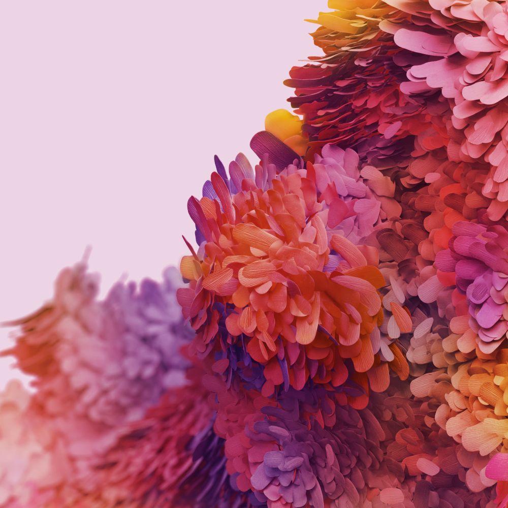 Samsung Galaxy S20 FE Wallpapers Top Free Samsung Galaxy S20 FE