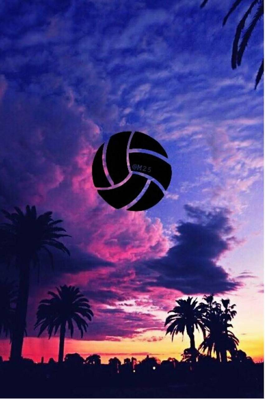 Cool Volleyball Wallpapers Top Free Cool Volleyball Backgrounds