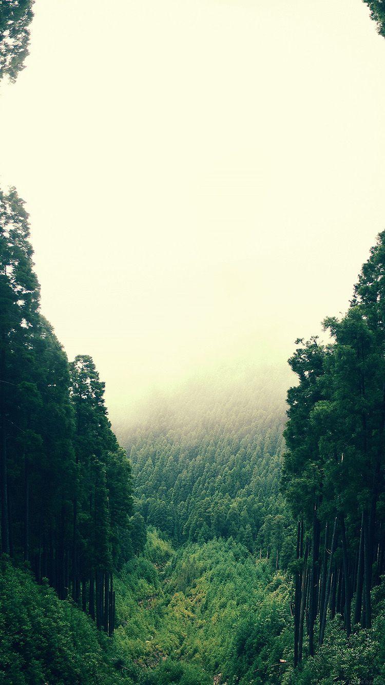 Minimalist Nature iPhone Wallpapers Top Free Minimalist Nature iPhone