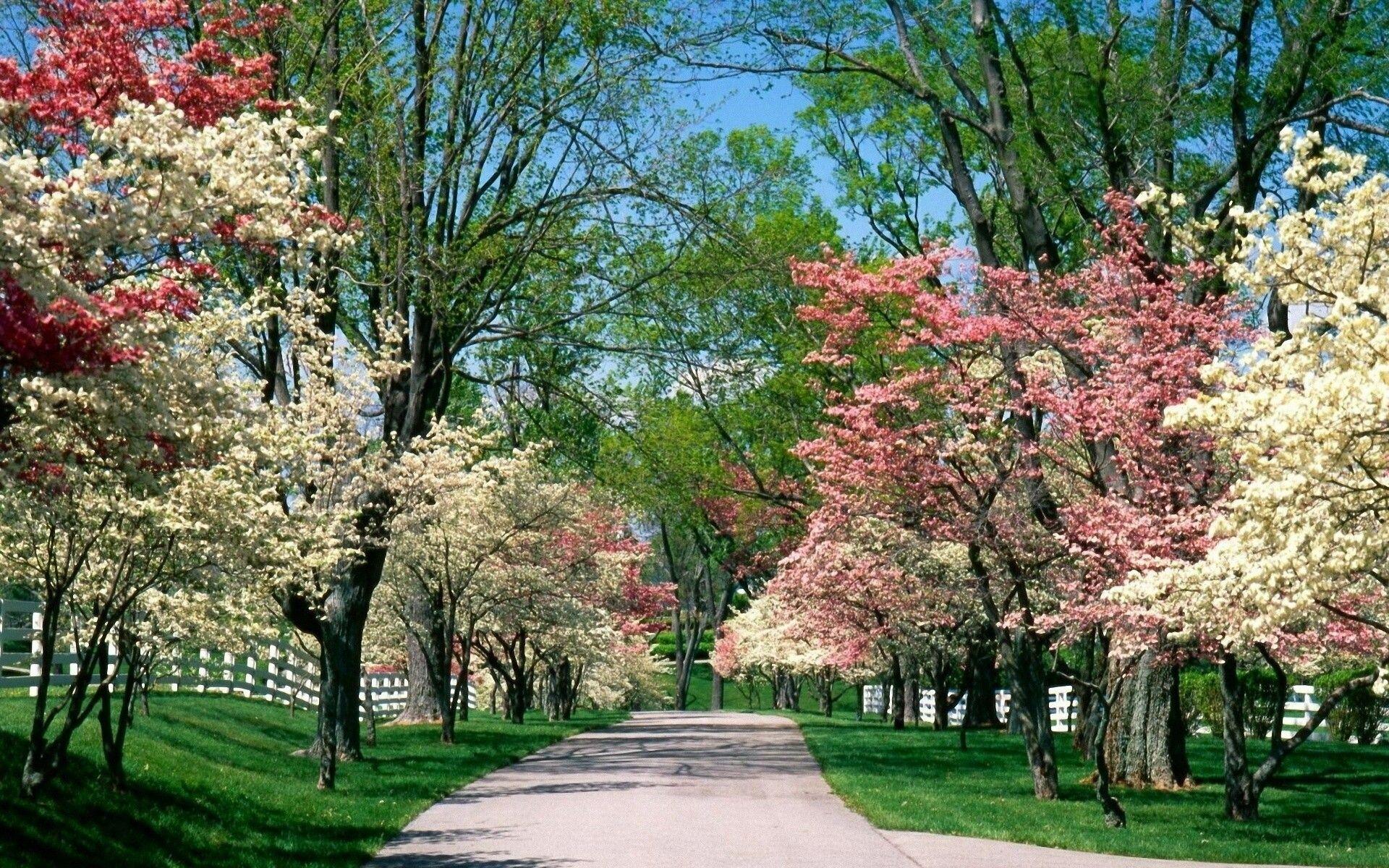 Michigan Spring Wallpapers Top Free Michigan Spring Backgrounds