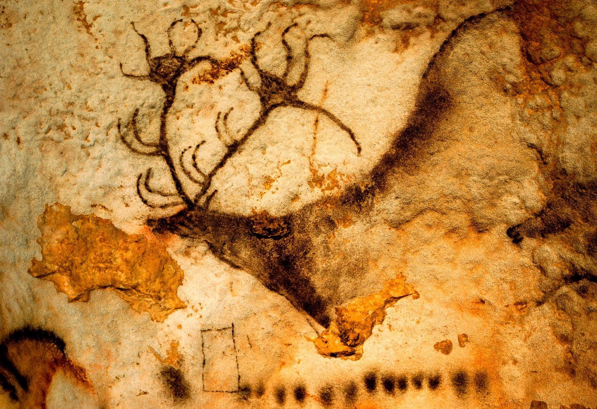 Cave Painting Wallpapers Top Free Cave Painting Backgrounds