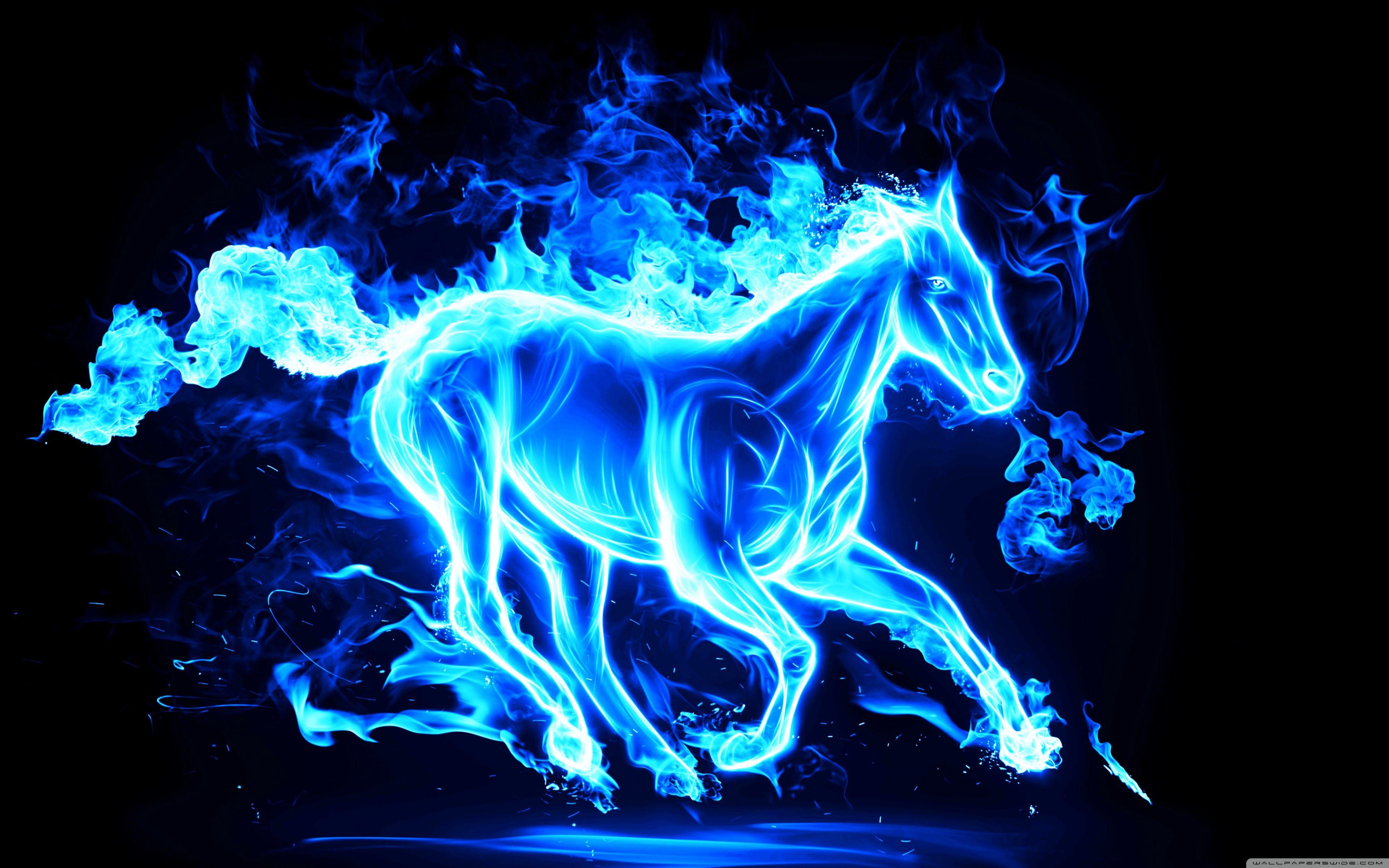 Blue Horse Wallpapers Top Free Blue Horse Backgrounds WallpaperAccess