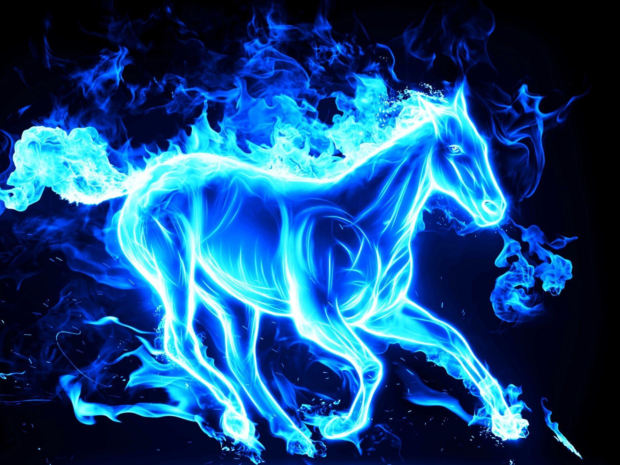 Blue Horse Wallpapers Top Free Blue Horse Backgrounds WallpaperAccess