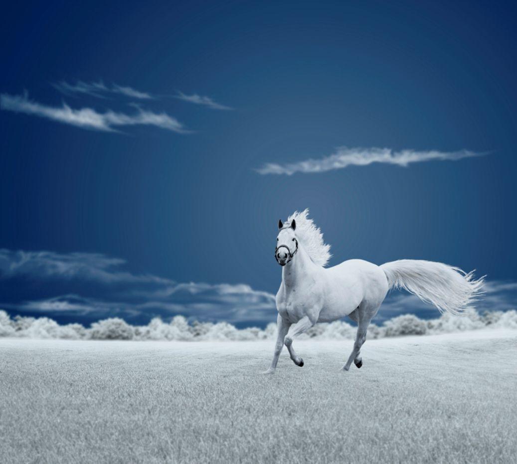 Blue Horse Wallpapers Top Free Blue Horse Backgrounds WallpaperAccess