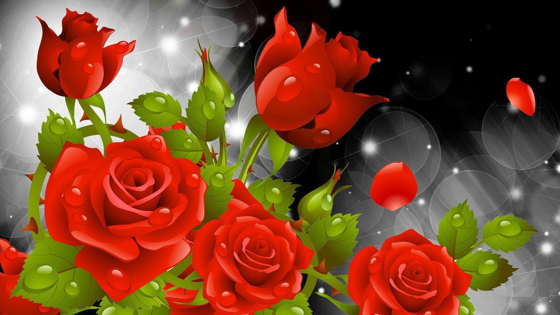 Beautiful Rose Flower HD Wallpapers Top Free Beautiful Rose Flower HD