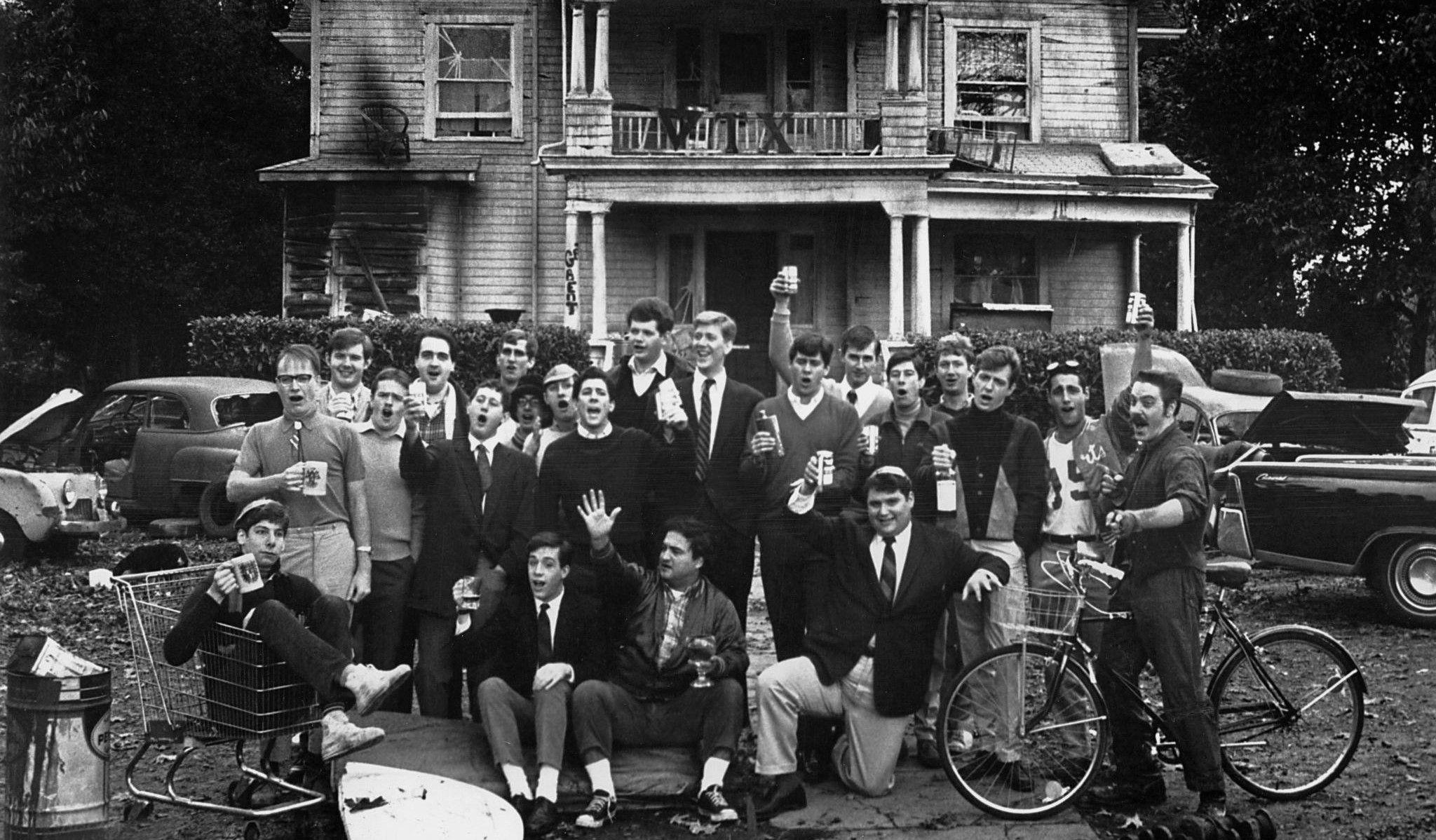 Animal House Wallpapers Top Free Animal House Backgrounds