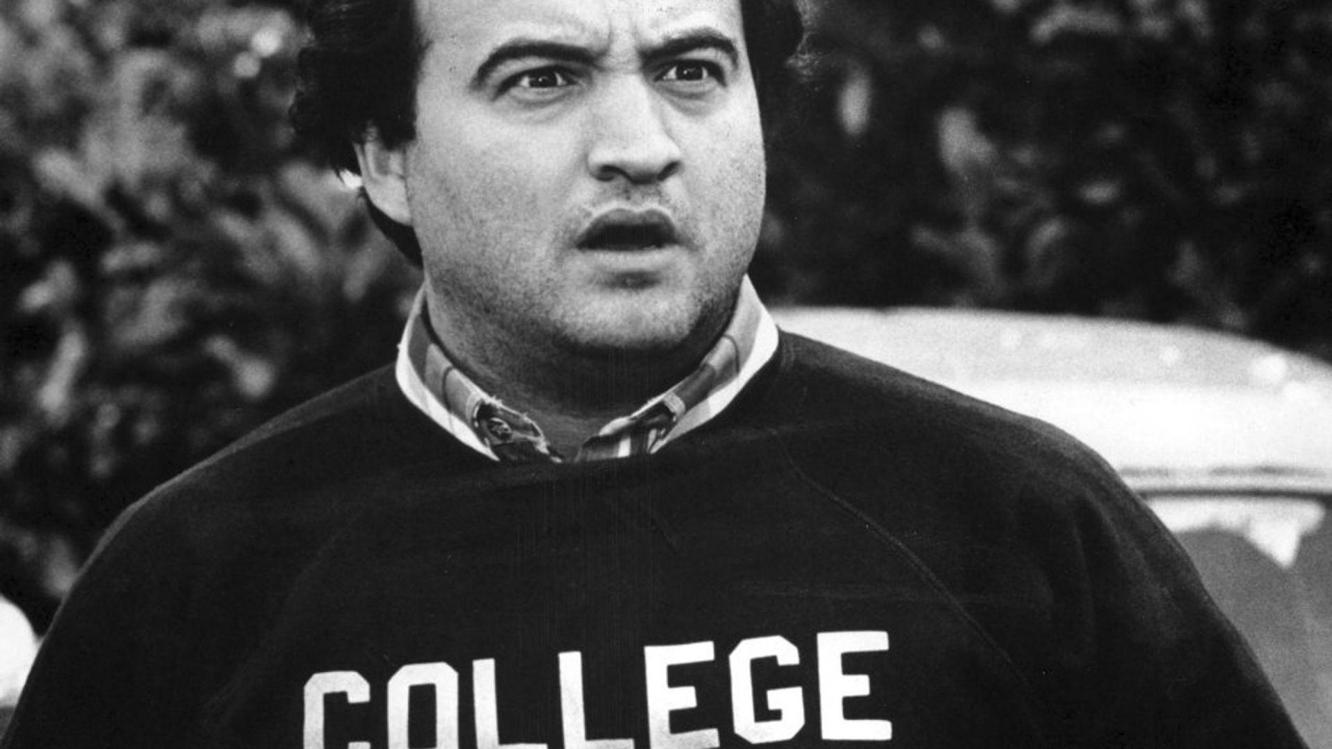 Animal House Wallpaper