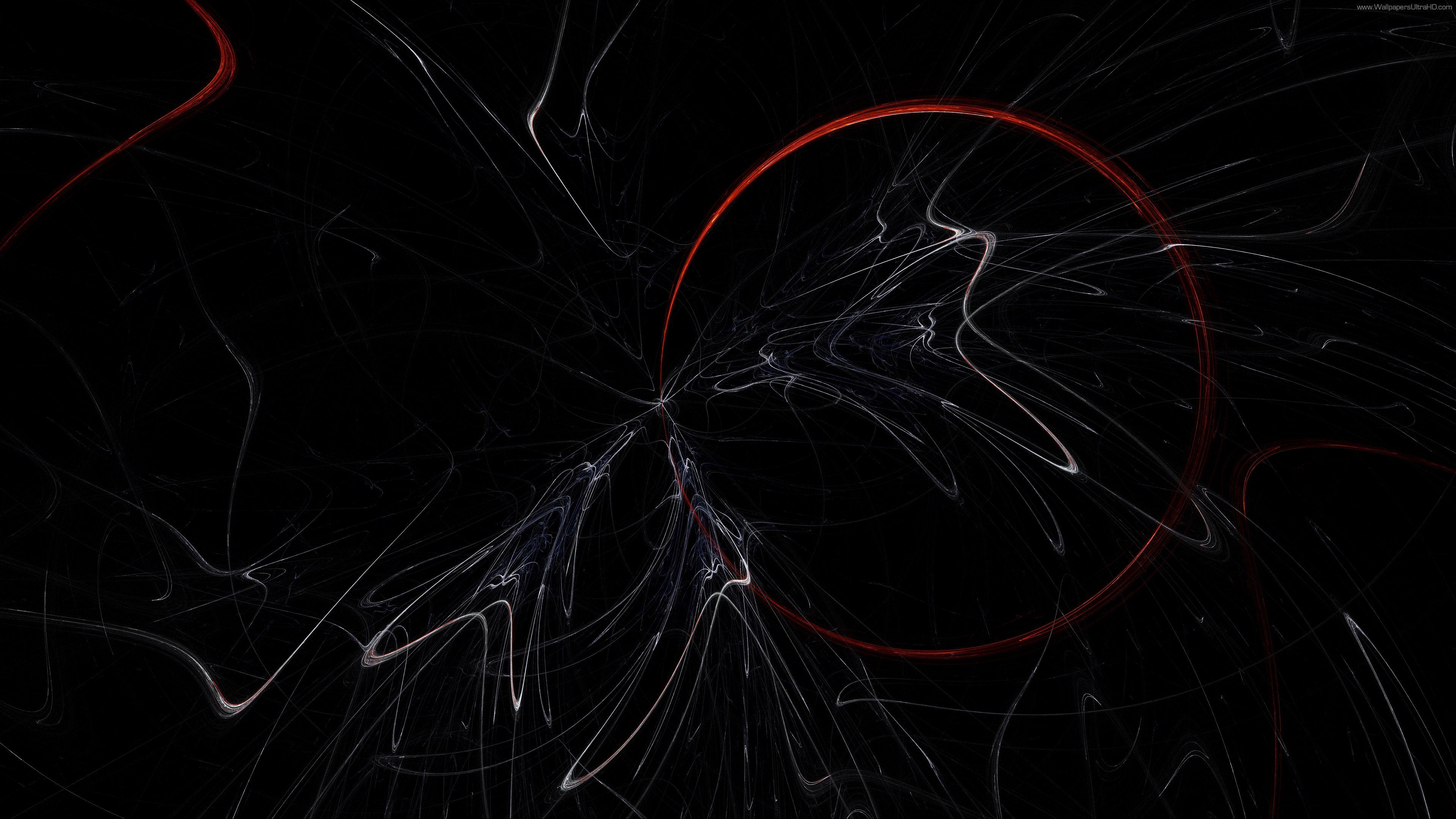 64K Ultra HD Wolf Wallpapers Top Free 64K Ultra HD Wolf Backgrounds