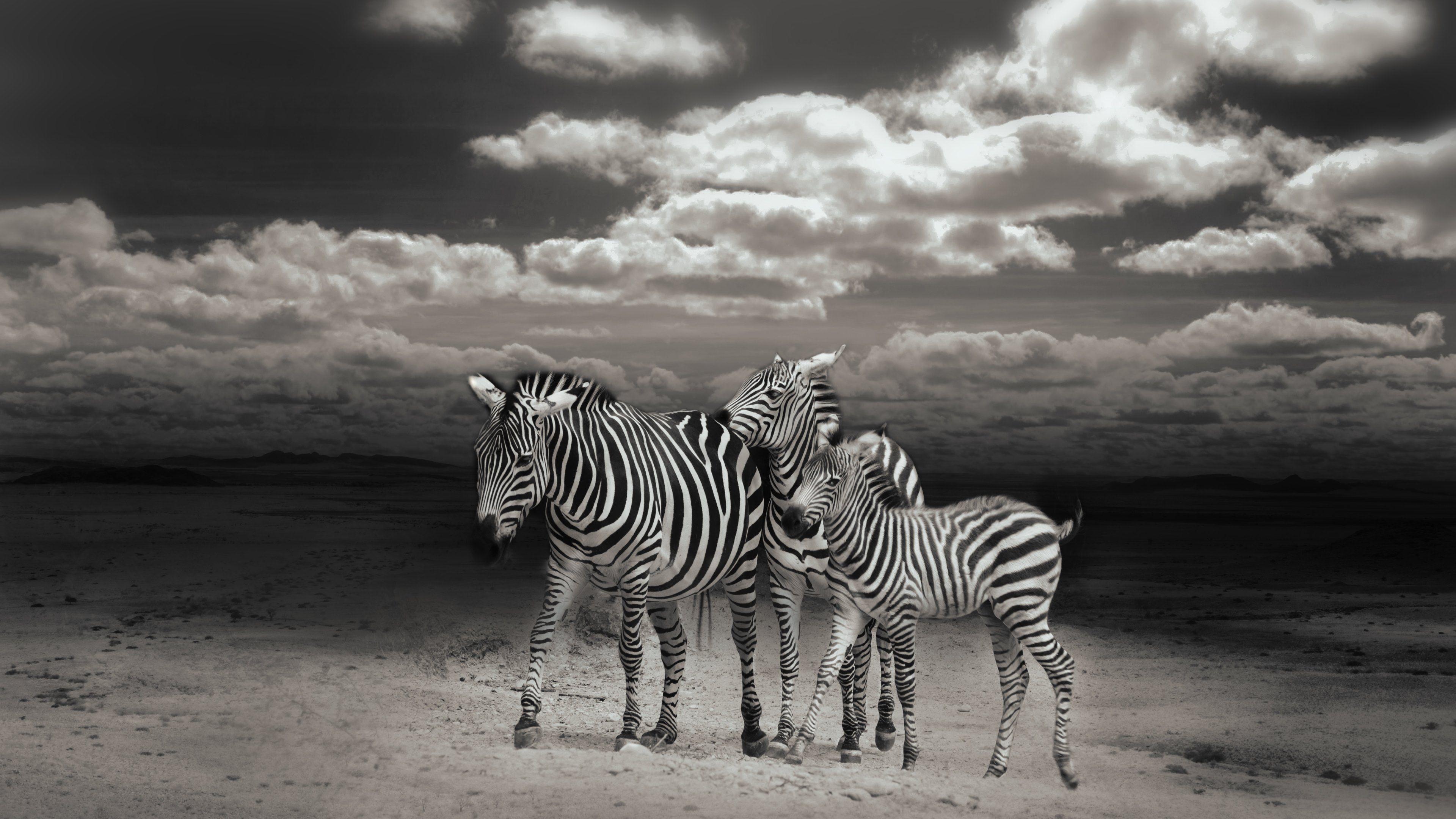 64K Ultra HD Black Wallpapers Top Free 64K Ultra HD Black Backgrounds