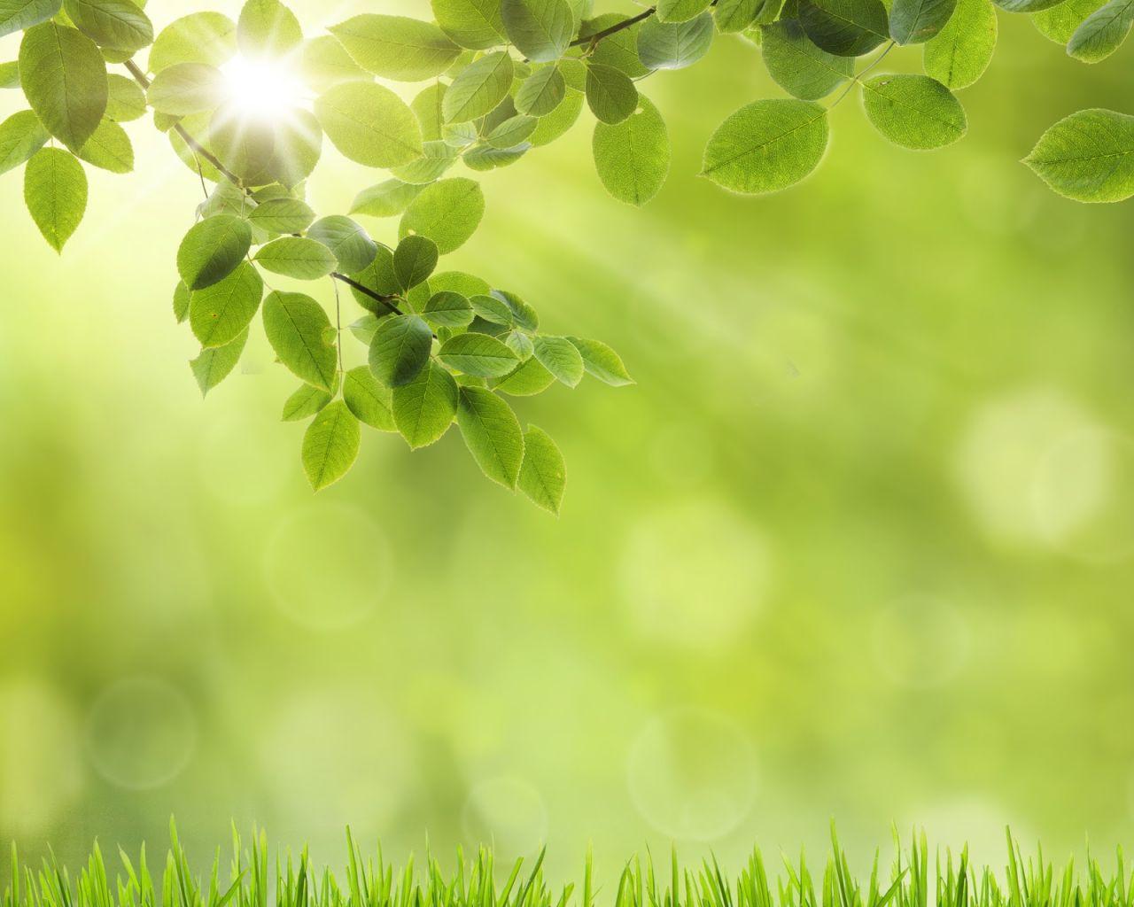 Green iPad Wallpapers Top Free Green iPad Backgrounds WallpaperAccess