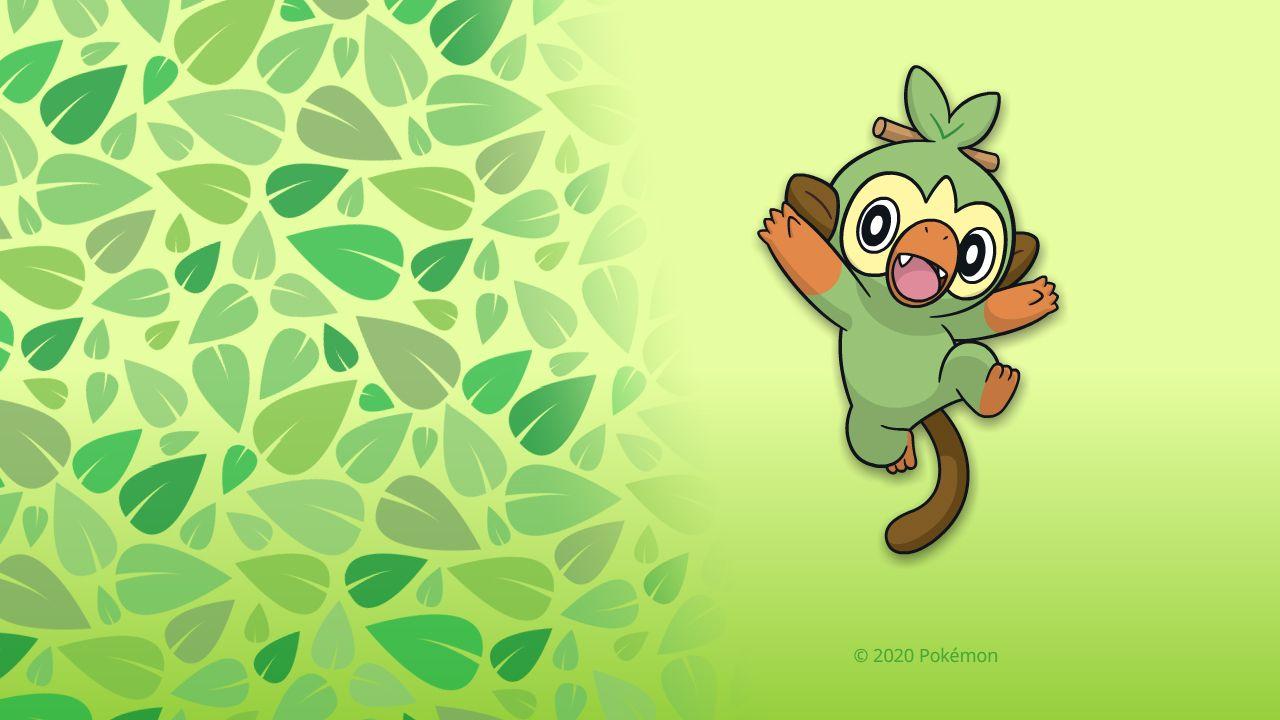 Green Pokemon Wallpapers Top Free Green Pokemon Backgrounds
