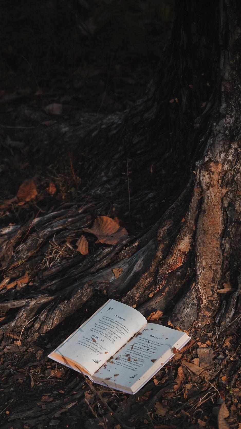 Book Tree Wallpapers Top Free Book Tree Backgrounds WallpaperAccess