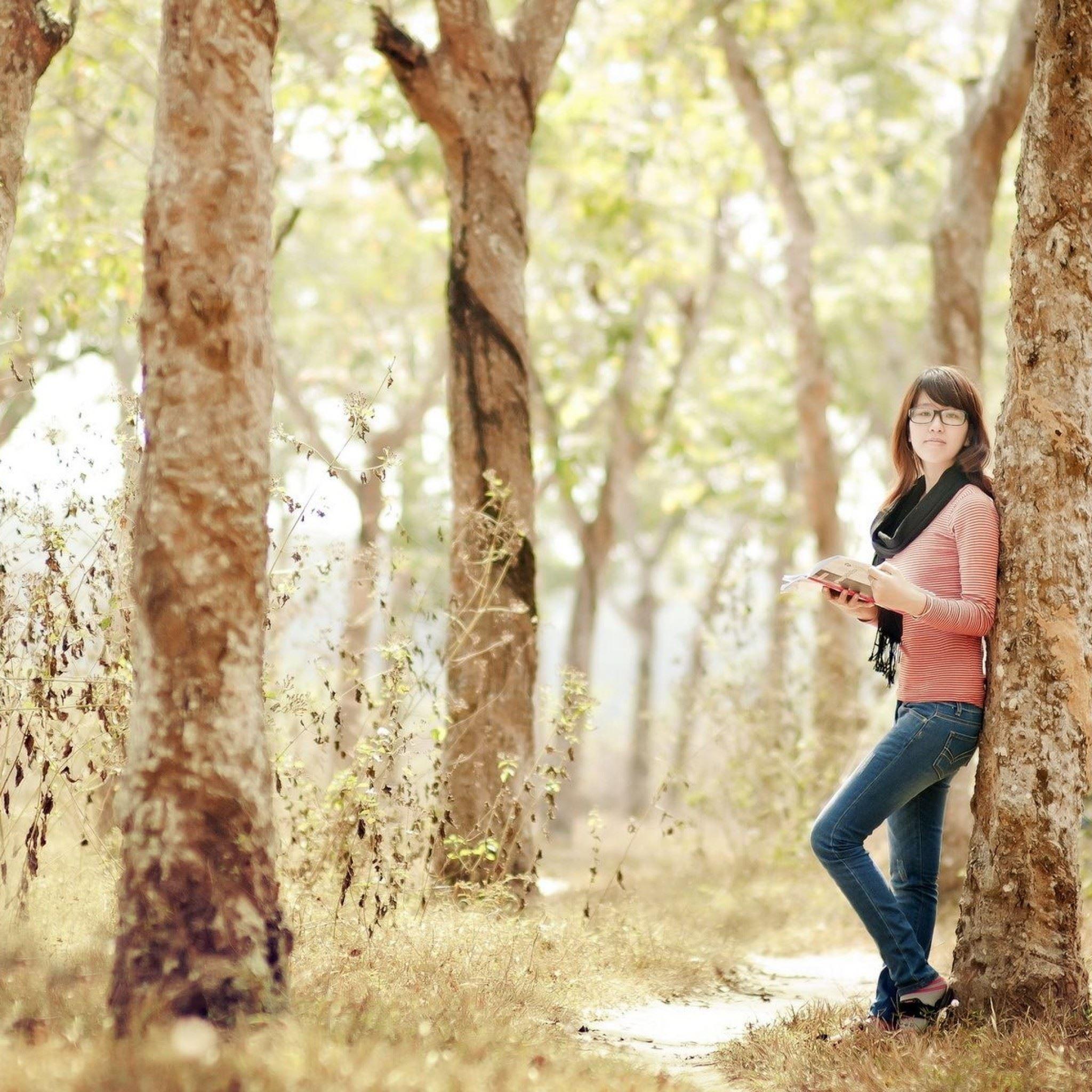 Book Tree Wallpapers Top Free Book Tree Backgrounds WallpaperAccess