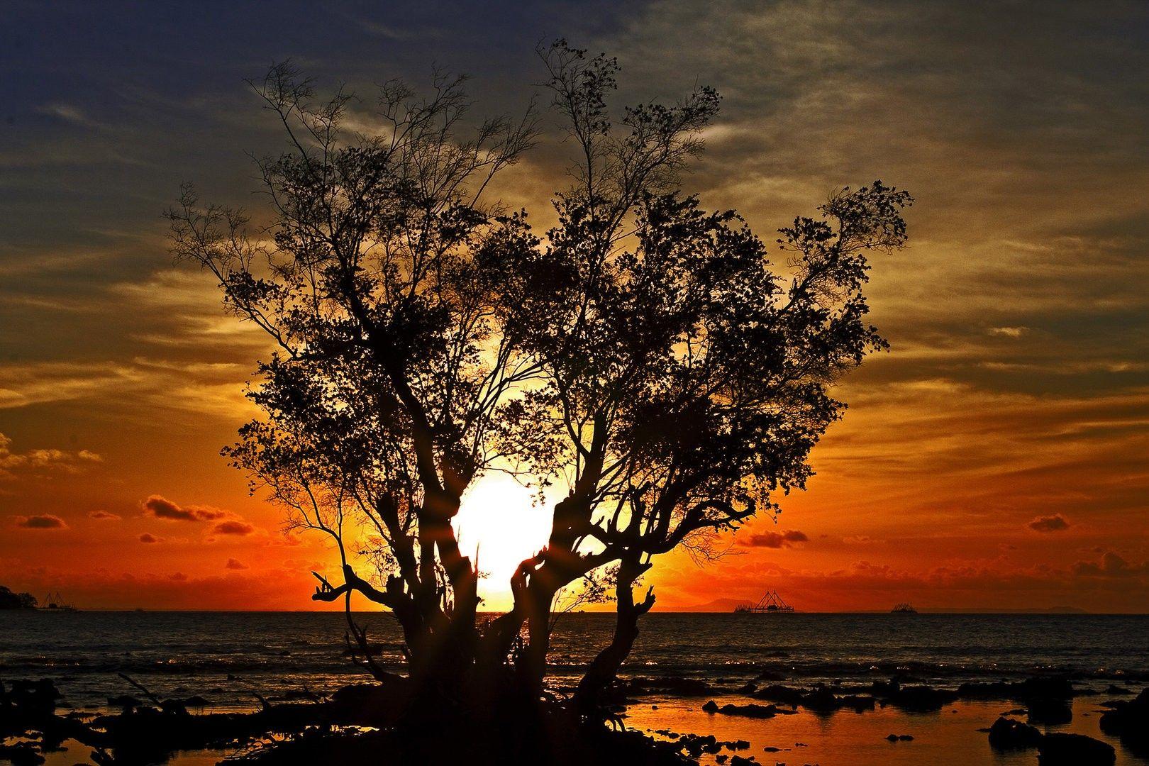 Gambar Wayang Hd Wallpaper