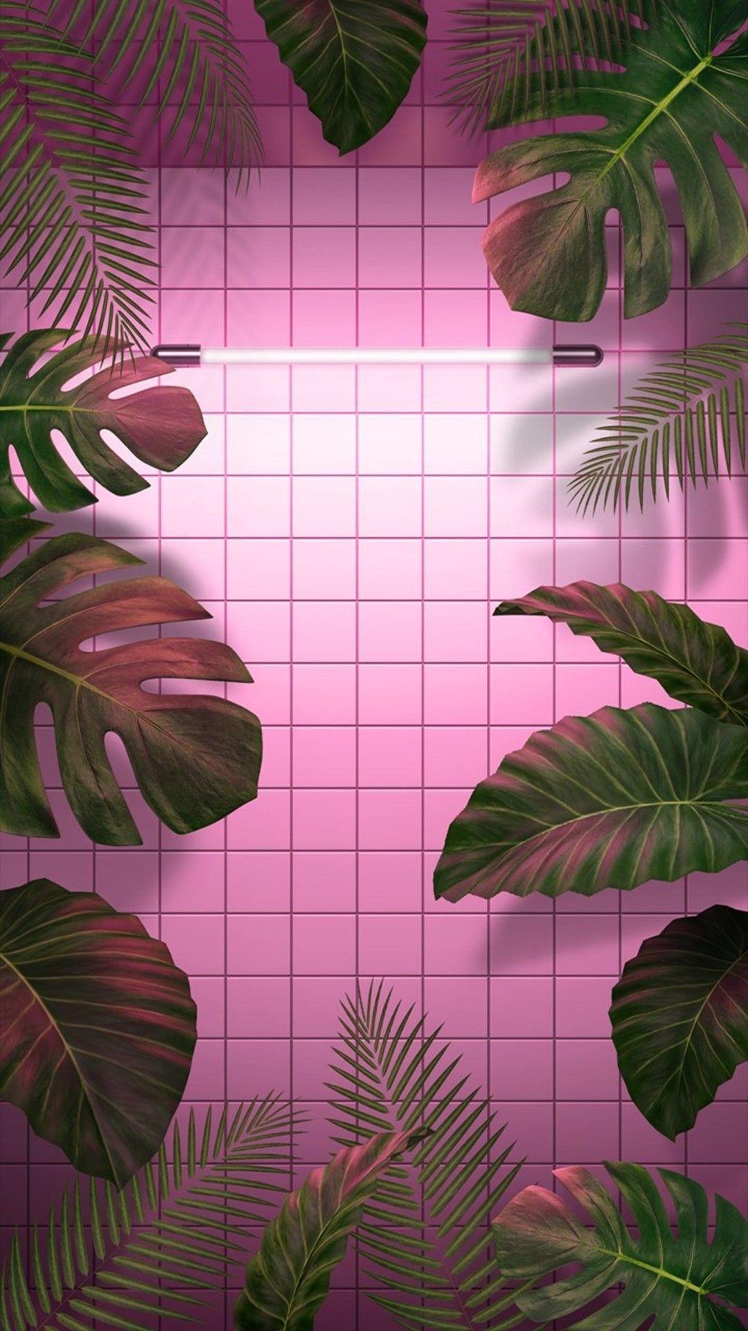 Aesthetic Tumblr Plant Wallpapers Top Free Aesthetic Tumblr Plant