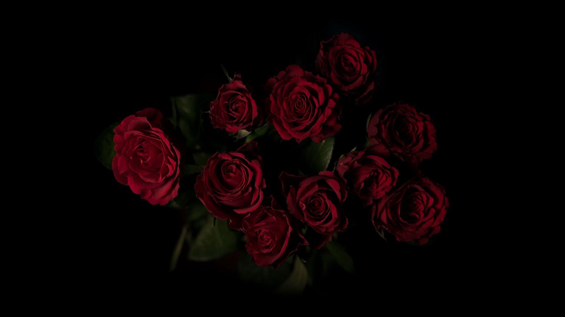 Dark Red Flower Wallpapers Top Free Dark Red Flower Backgrounds