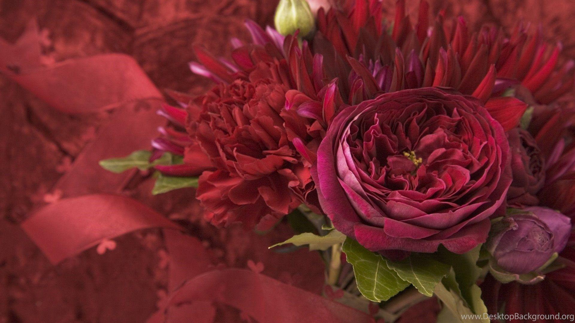 Burgundy Flower Wallpapers Top Free Burgundy Flower Backgrounds