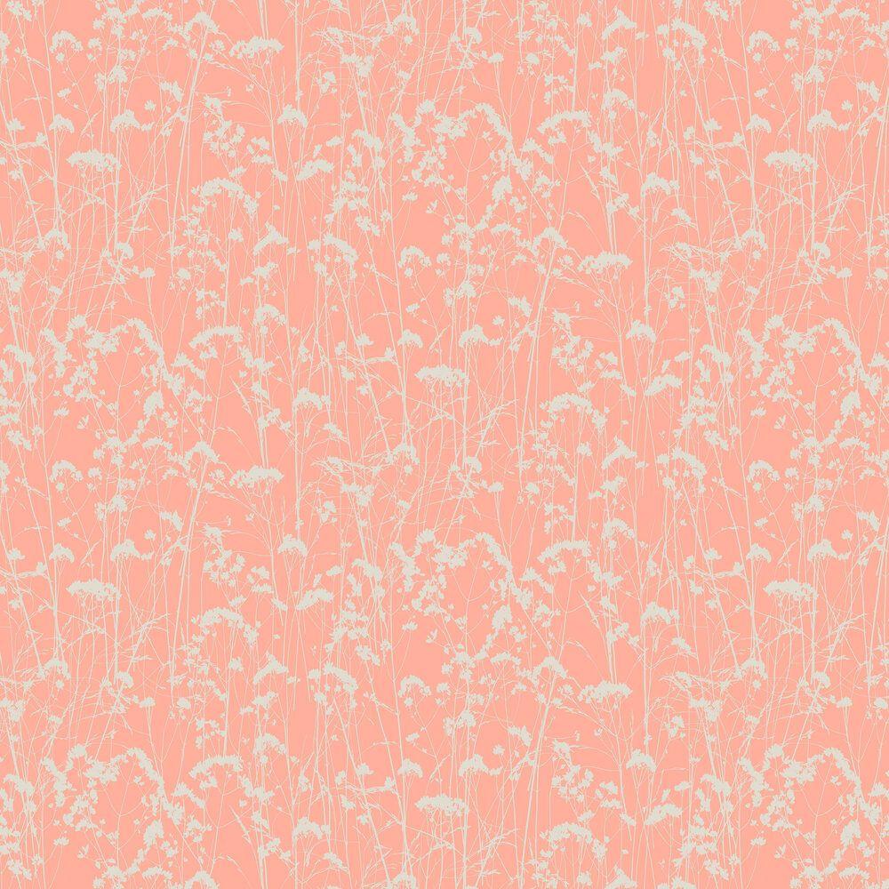 Coral Texture Wallpapers Top Free Coral Texture Backgrounds