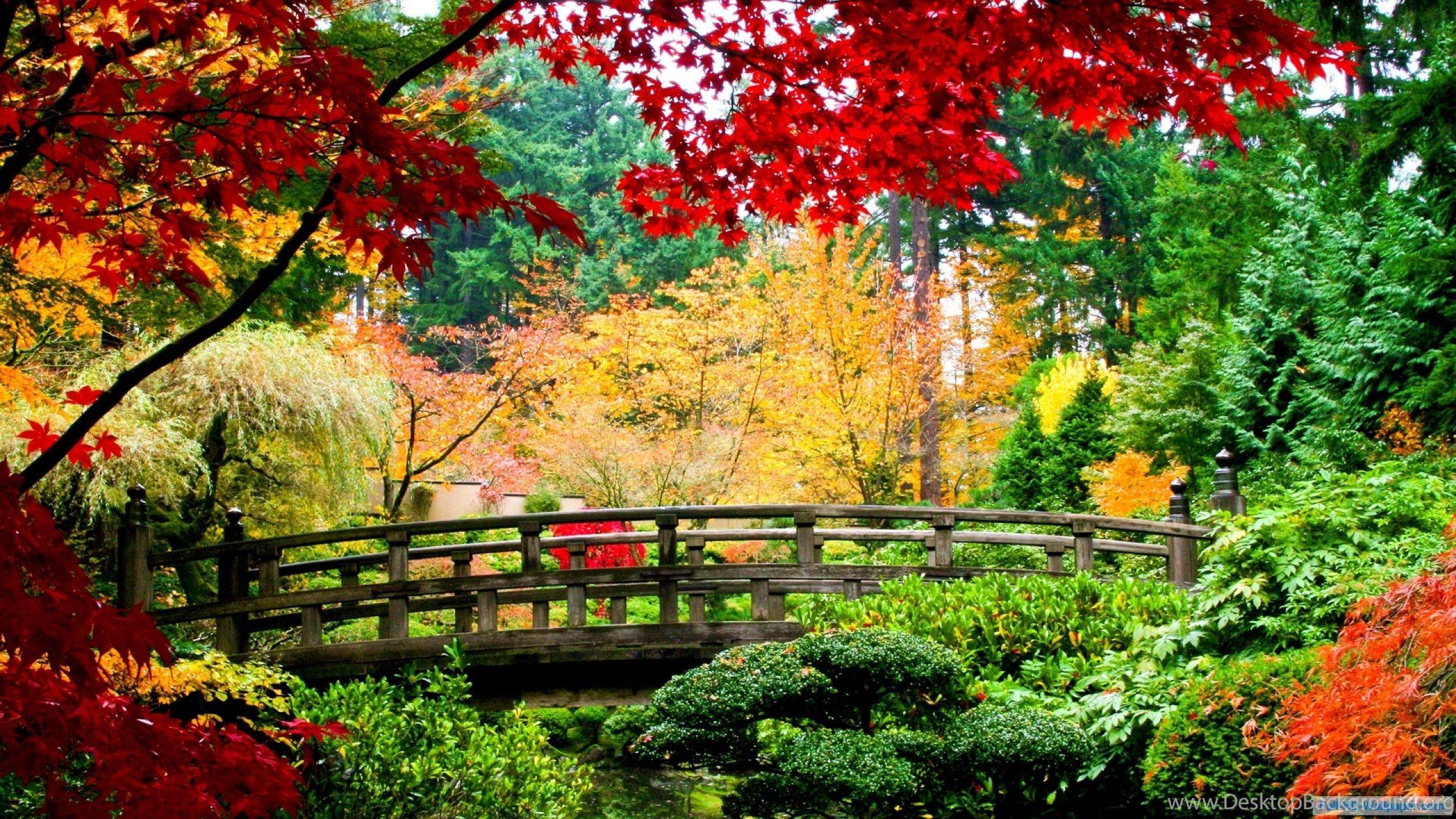 Green Autumn Wallpapers Top Free Green Autumn Backgrounds