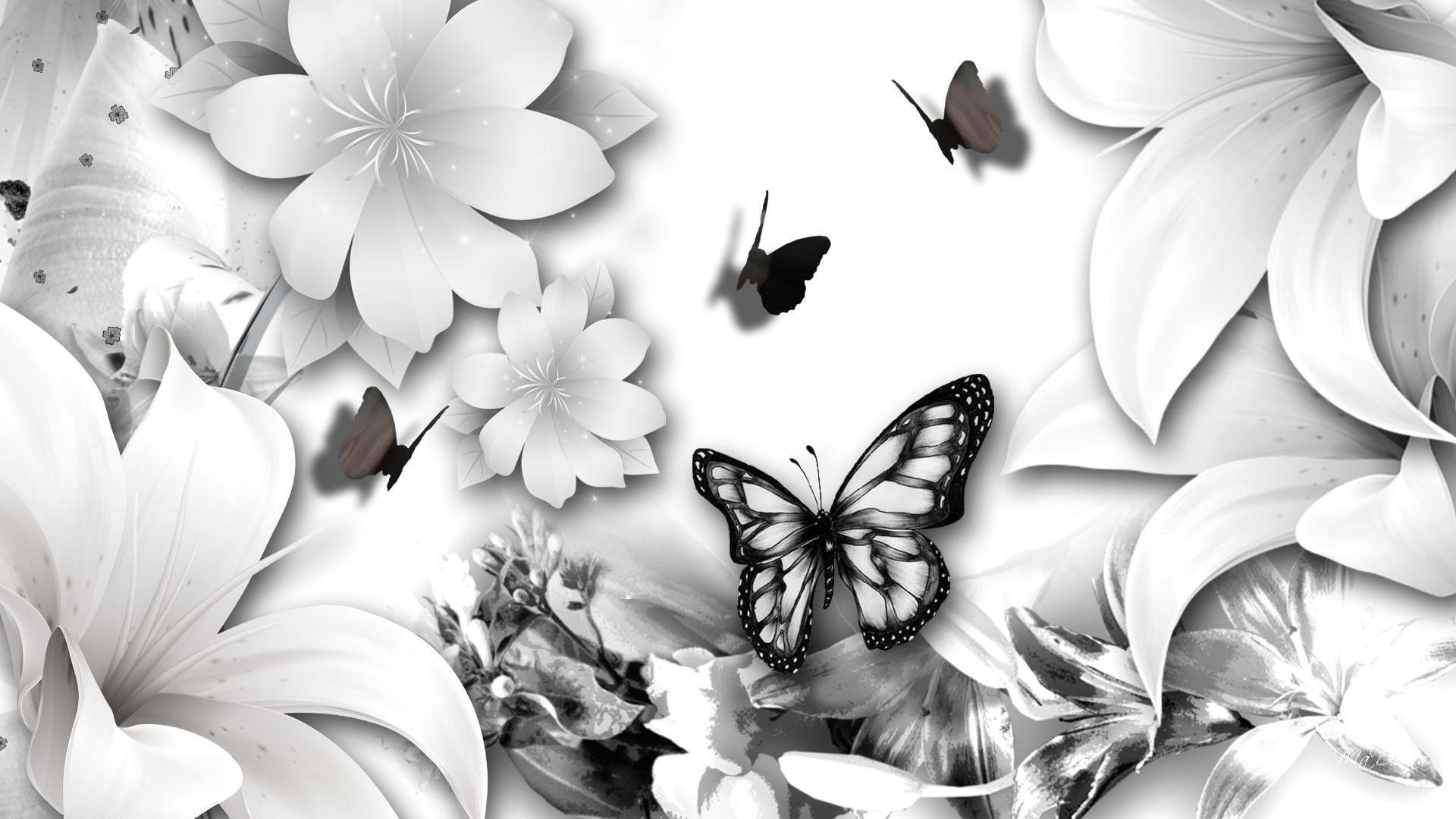 Black Butterfly Wallpapers Top Free Black Butterfly Backgrounds