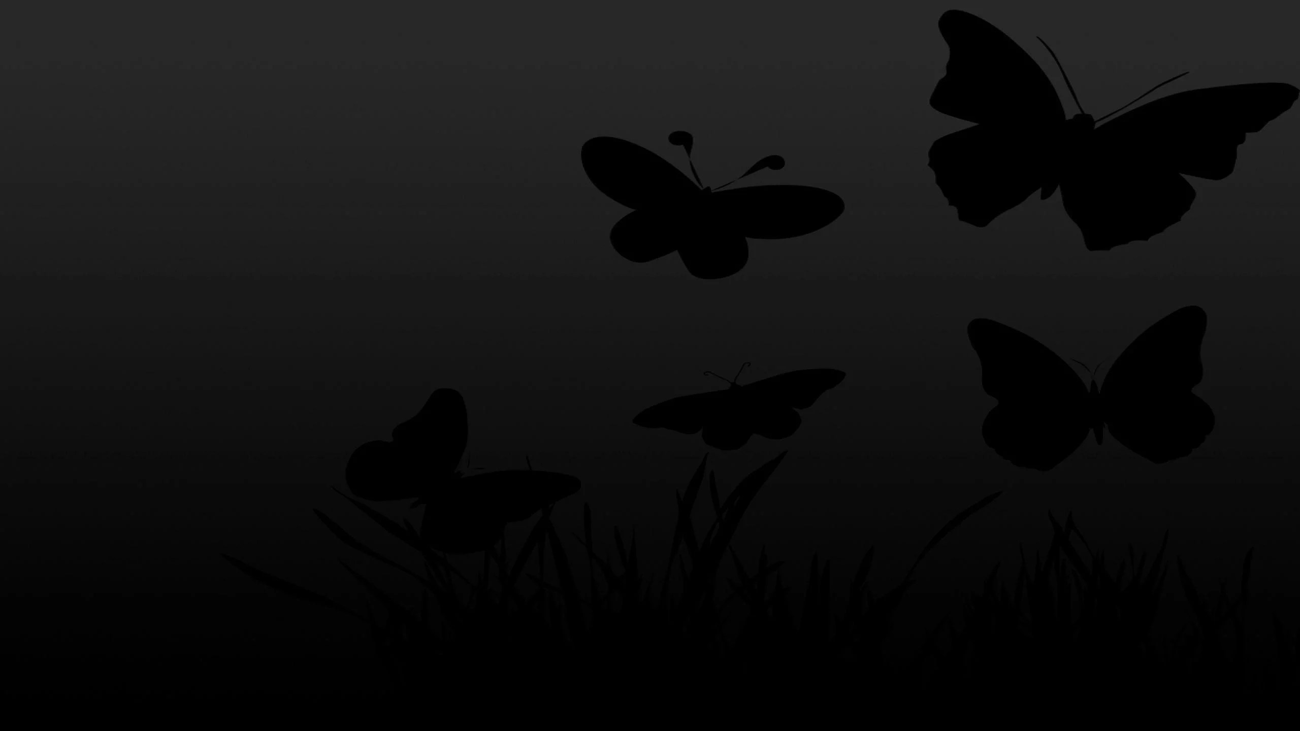 Black Butterfly Wallpapers Top Free Black Butterfly Backgrounds WallpaperAccess