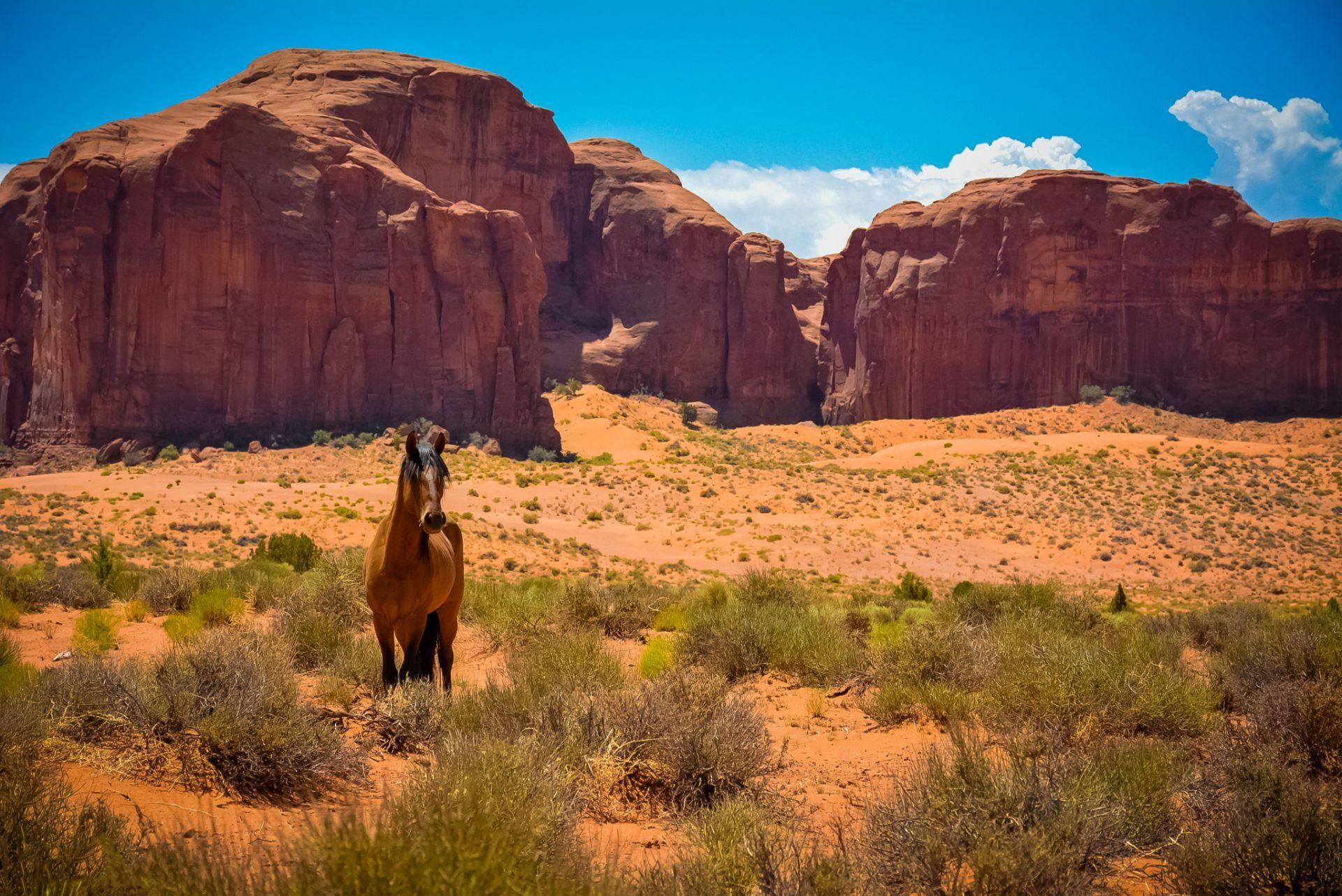 Wild West Wallpapers Top Free Wild West Backgrounds WallpaperAccess