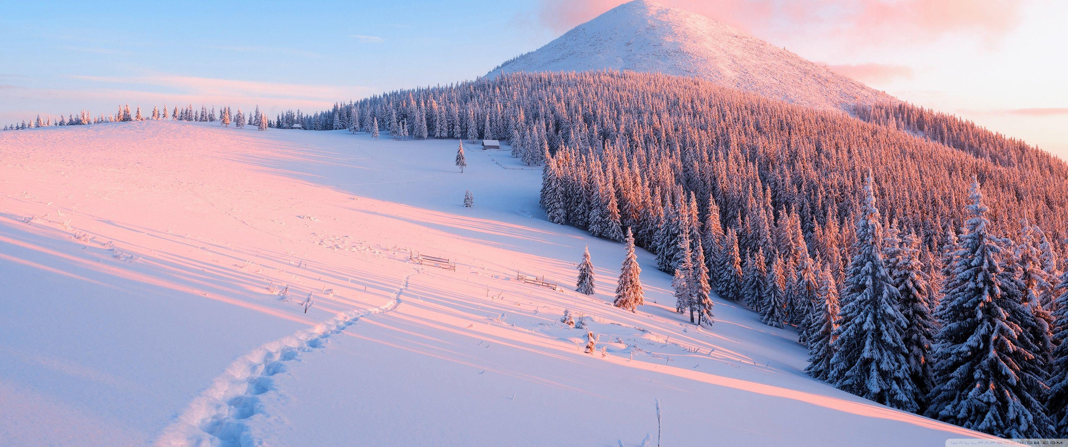3440X1440 Winter Wallpapers Top Free 3440X1440 Winter Backgrounds