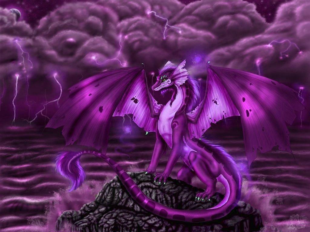Pretty Dragon Wallpapers Top Free Pretty Dragon Backgrounds