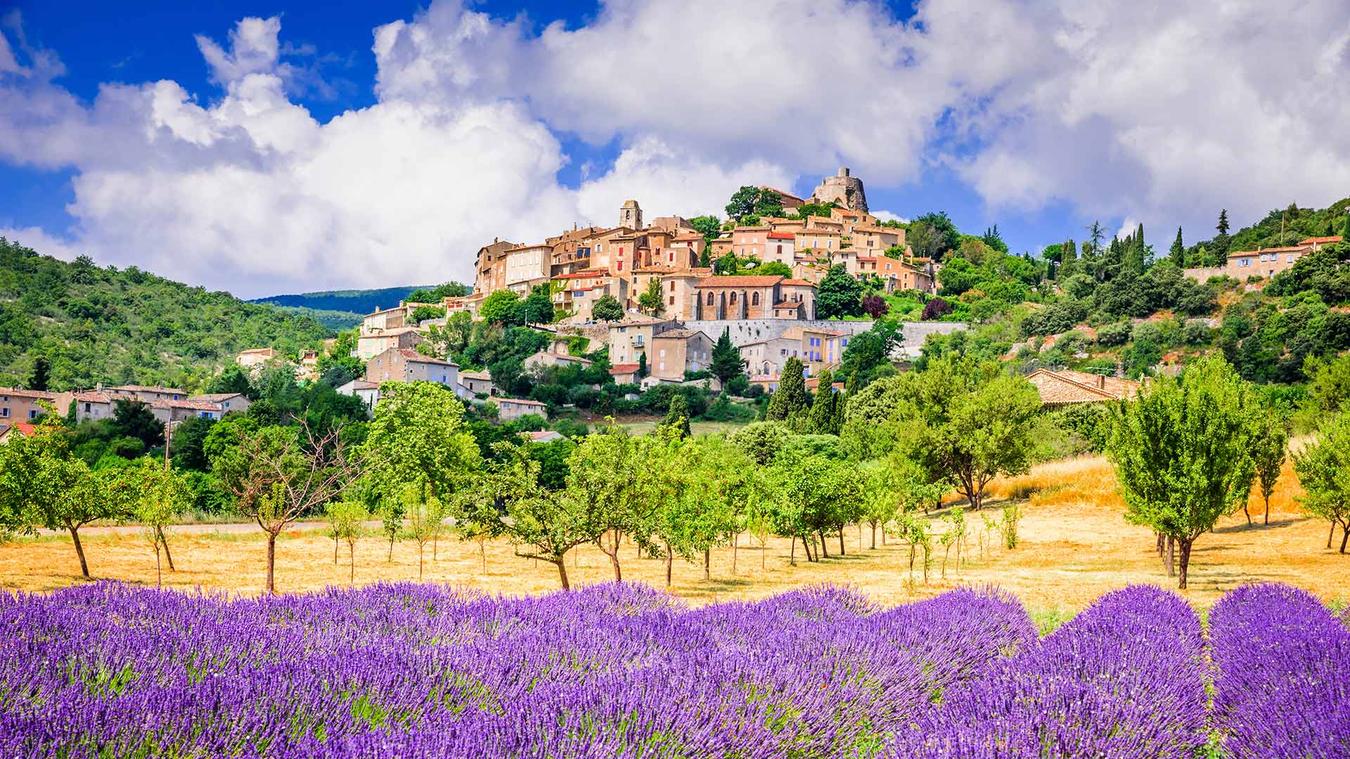 Wallpaper Provence Lavender Fields