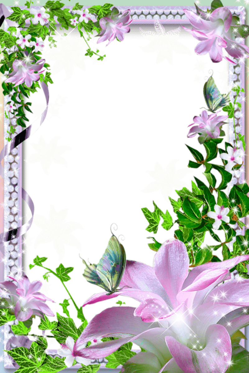 Flower Frame HD Wallpapers Top Free Flower Frame HD Backgrounds