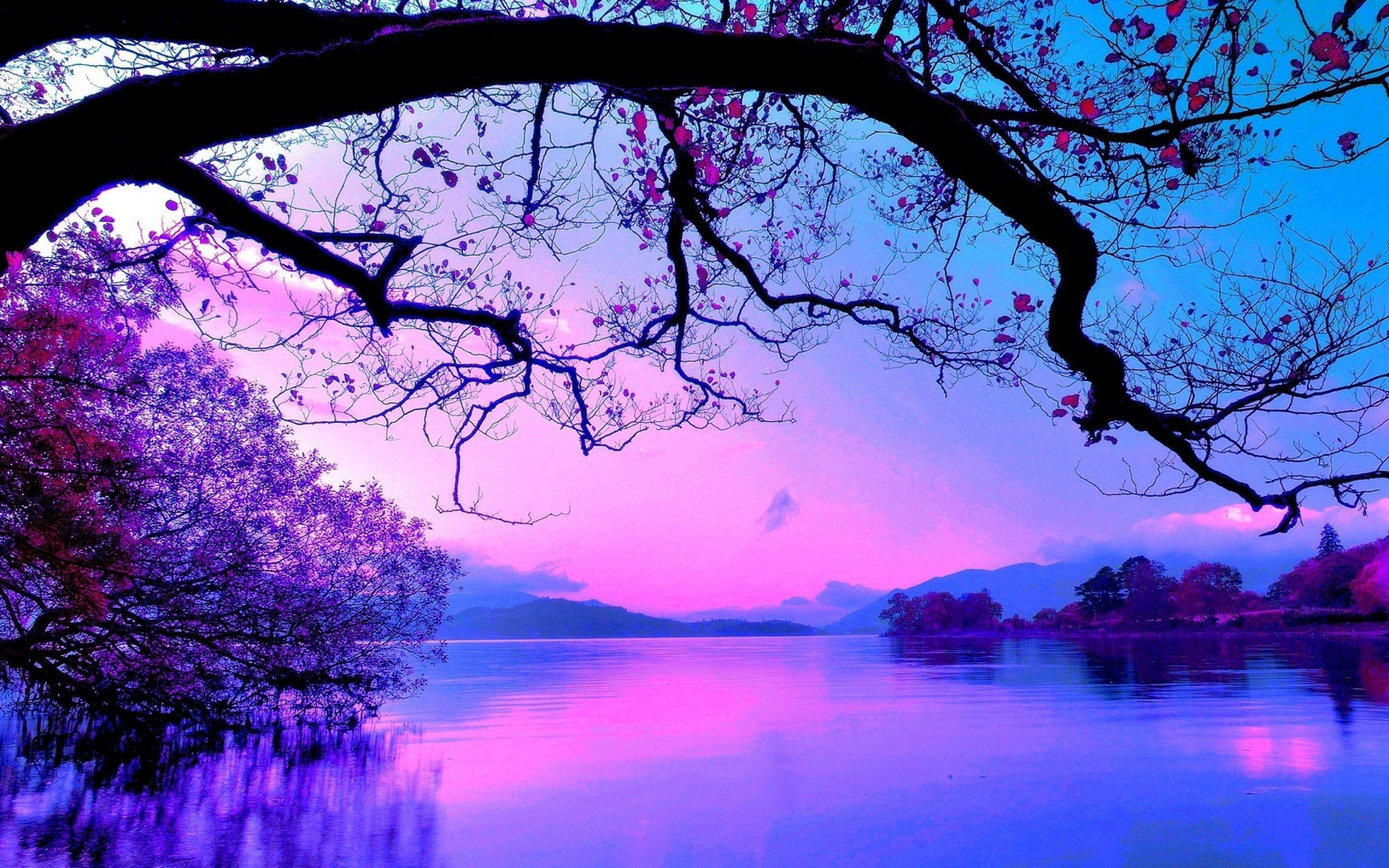 Blue Pink Sunset Wallpapers Top Free Blue Pink Sunset Backgrounds WallpaperAccess
