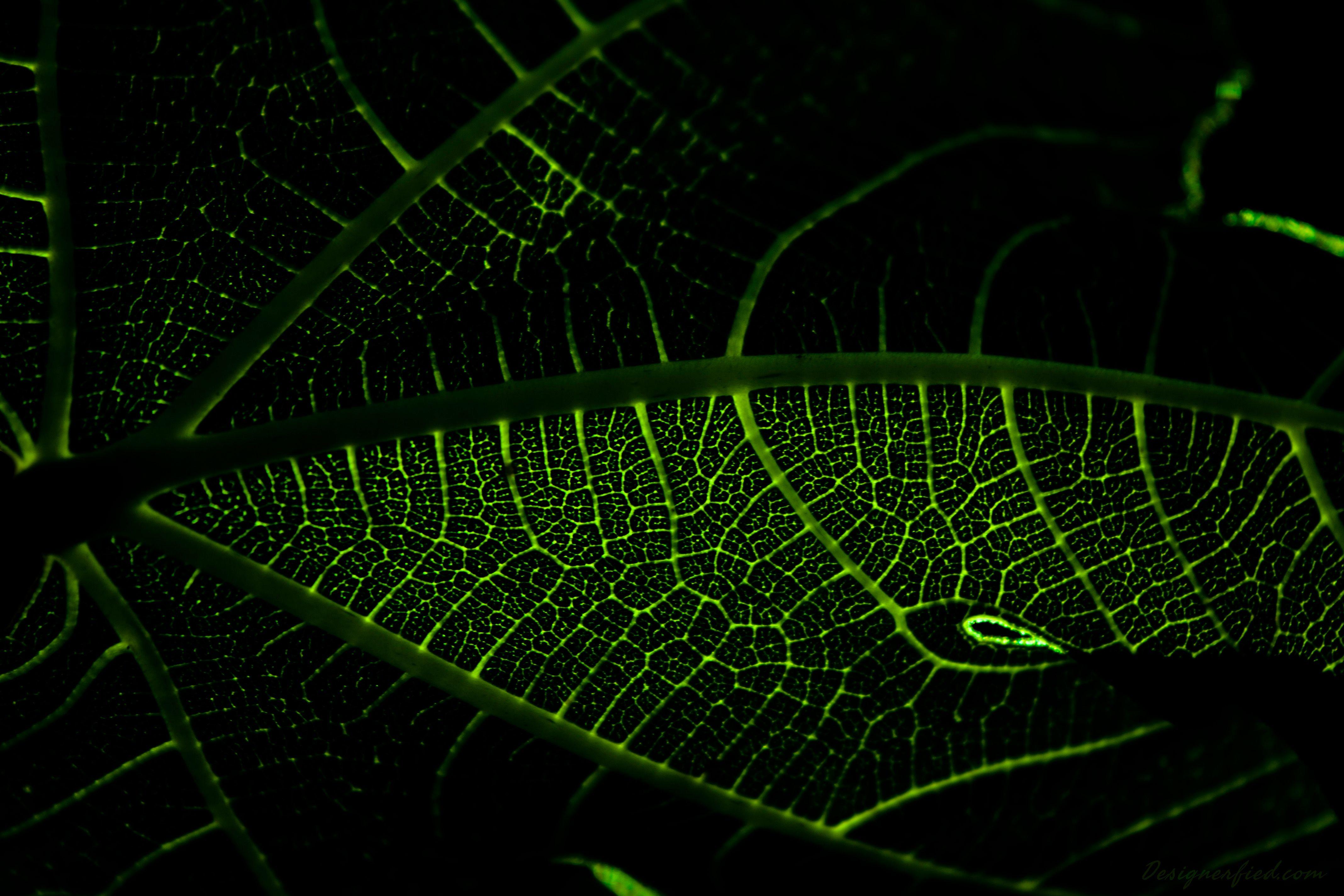 Large Wallpapers Top Free Large Backgrounds WallpaperAccess