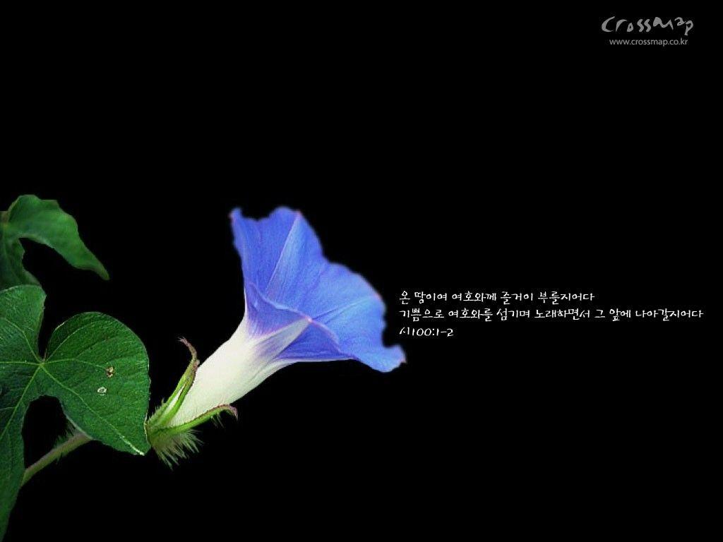 Chinese Writing Wallpapers Top Free Chinese Writing Backgrounds