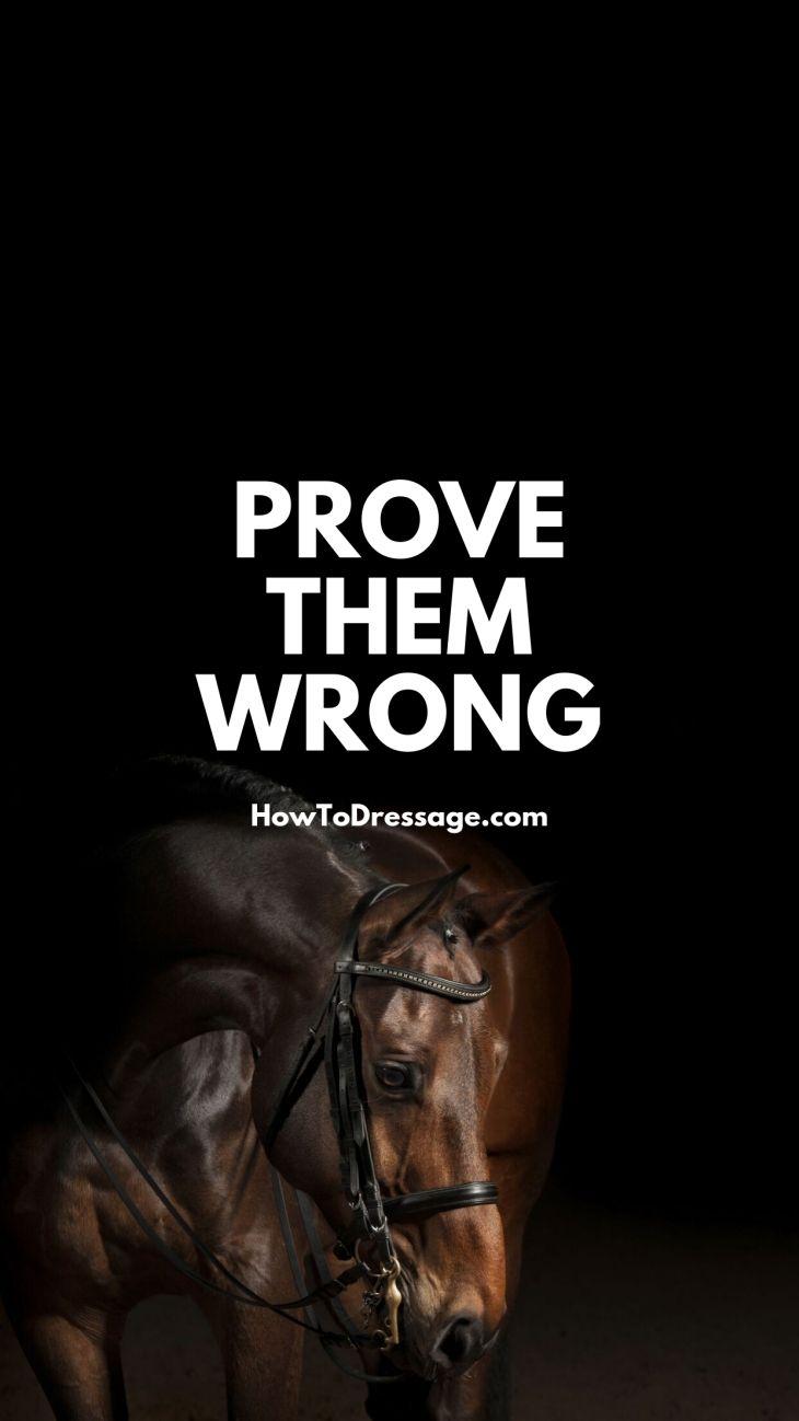 Horse Quotes Wallpapers Top Free Horse Quotes Backgrounds
