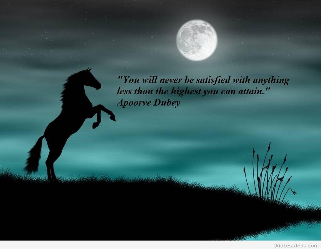 Horse Quotes Wallpapers Top Free Horse Quotes Backgrounds