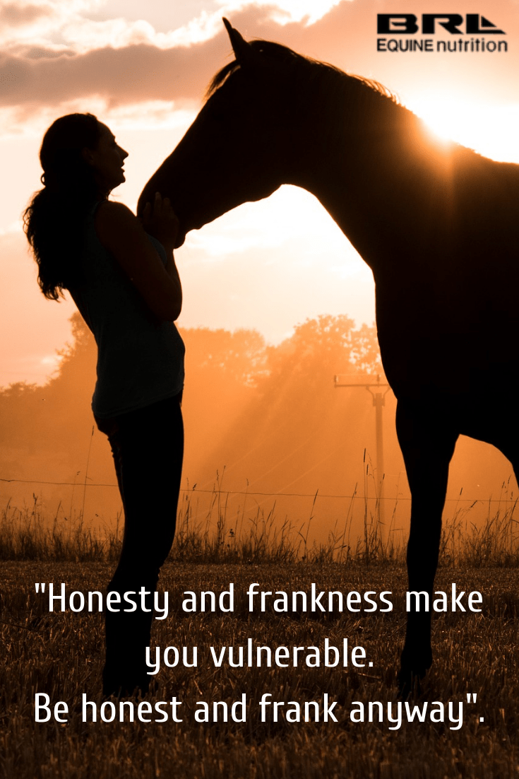 Horse Quotes Wallpapers Top Free Horse Quotes Backgrounds