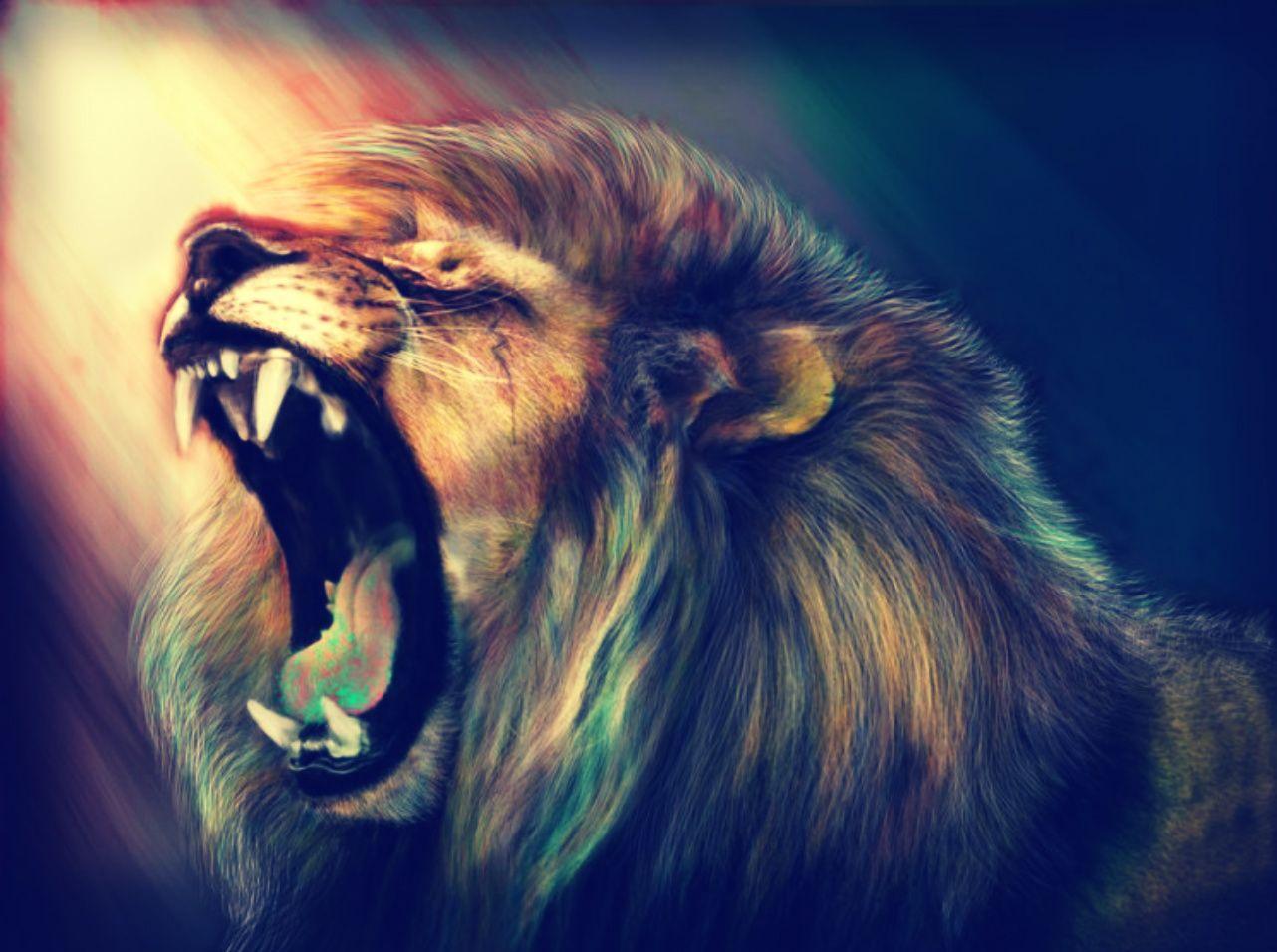 Lion Wallpapers Top Free Lion Backgrounds WallpaperAccess