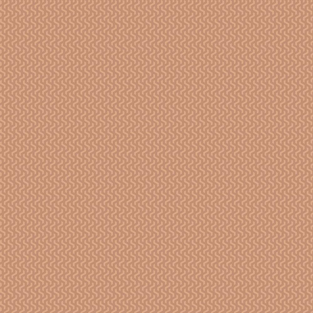 Burnt Orange Wallpapers Top Free Burnt Orange Backgrounds