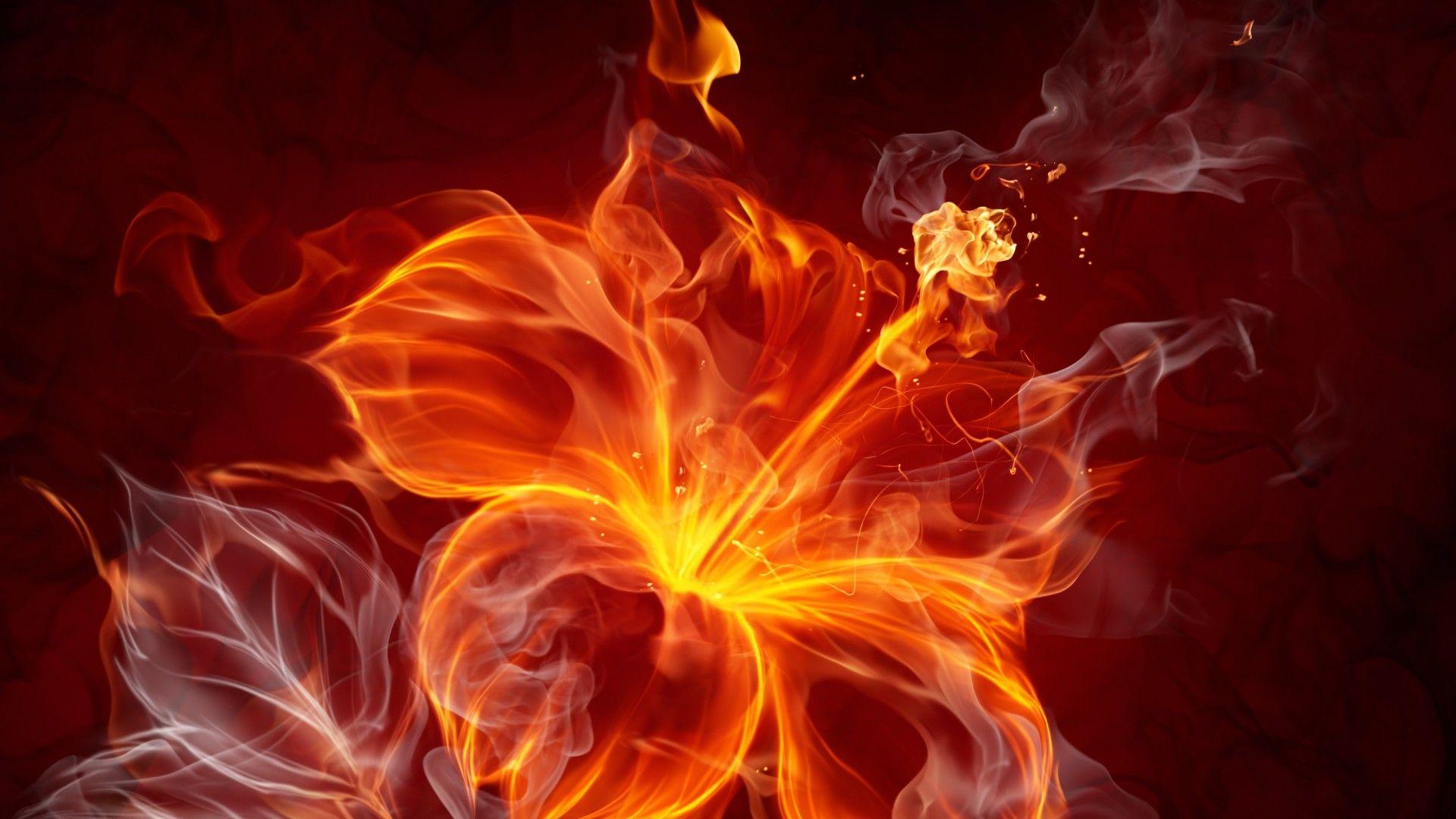 Orange Fire Wallpapers Top Free Orange Fire Backgrounds WallpaperAccess