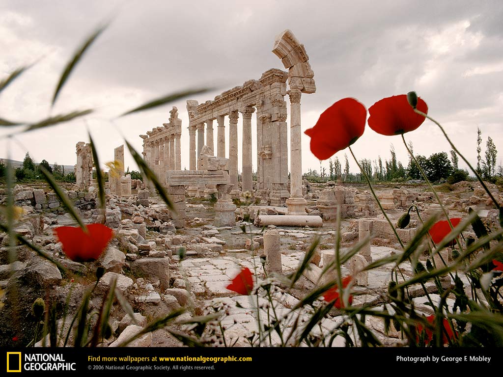 Lebanese Wallpapers Top Free Lebanese Backgrounds WallpaperAccess