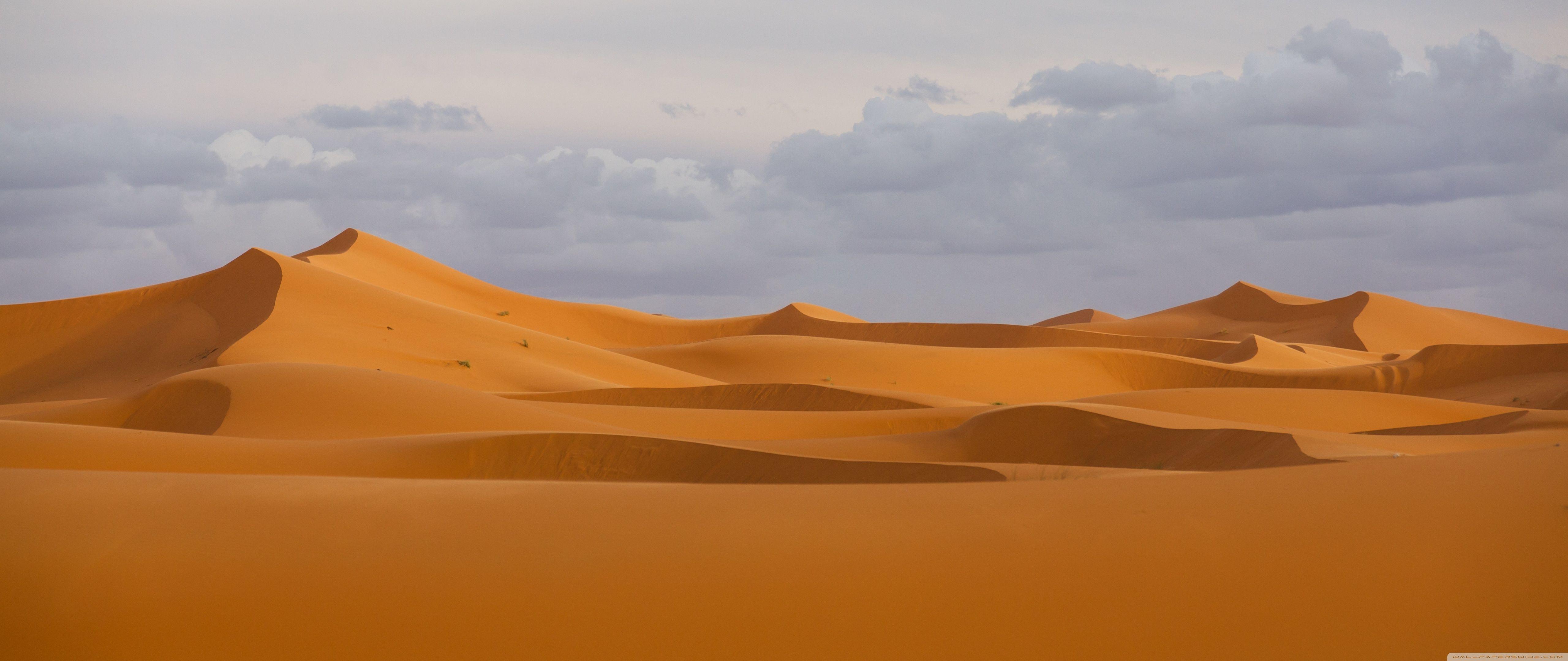Sahara Desert Wallpapers Top Free Sahara Desert Backgrounds