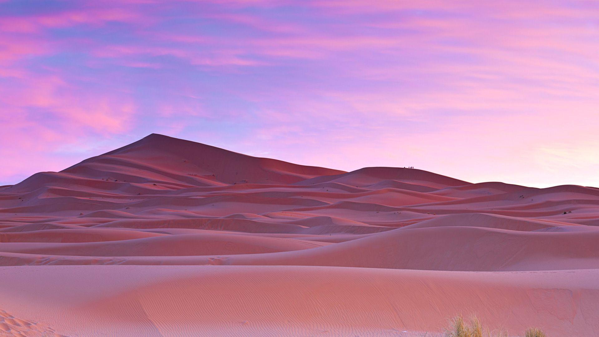 Sahara Desert Wallpapers Top Free Sahara Desert Backgrounds